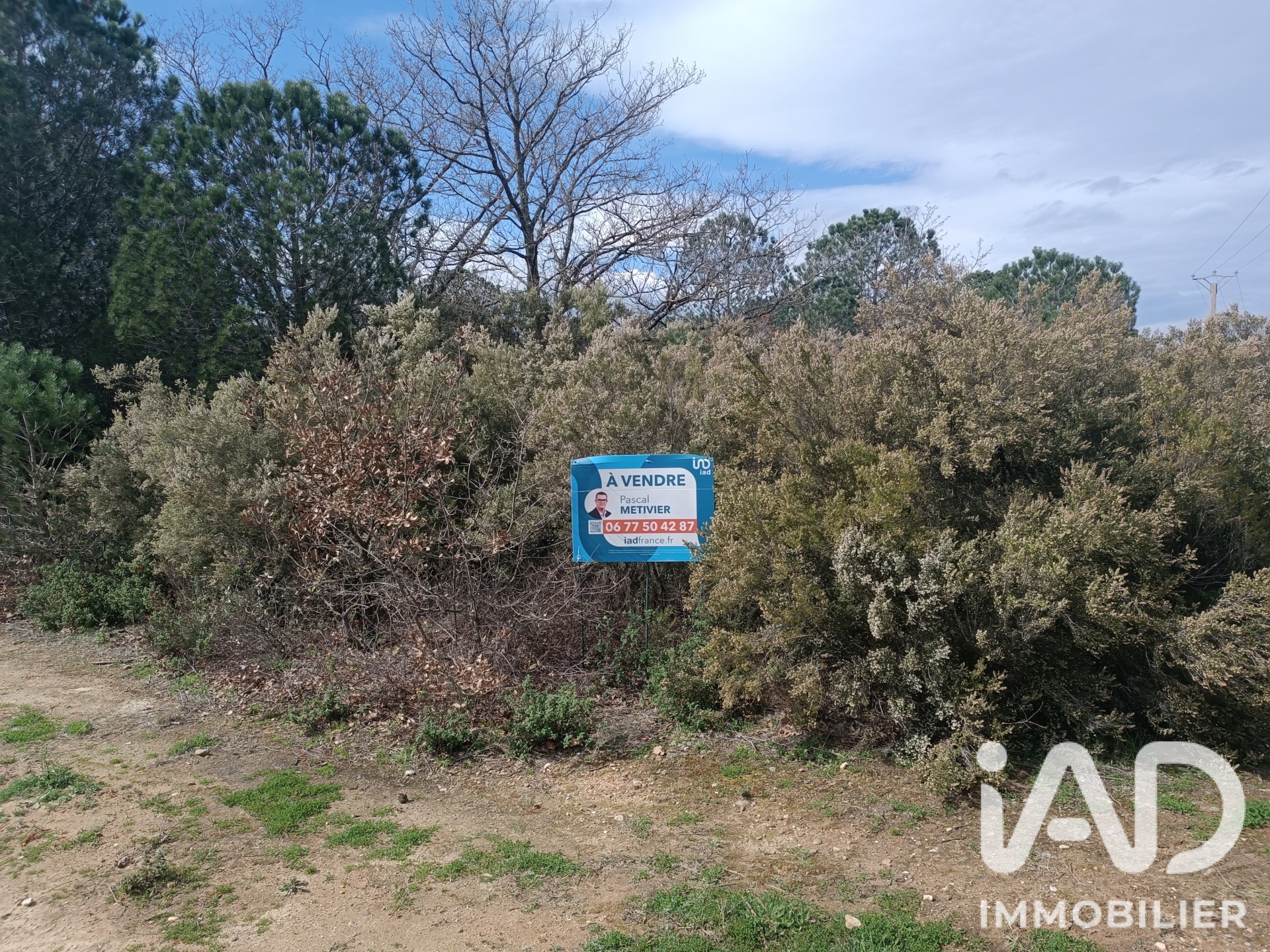 Vente Terrain agricole 7 442 m²