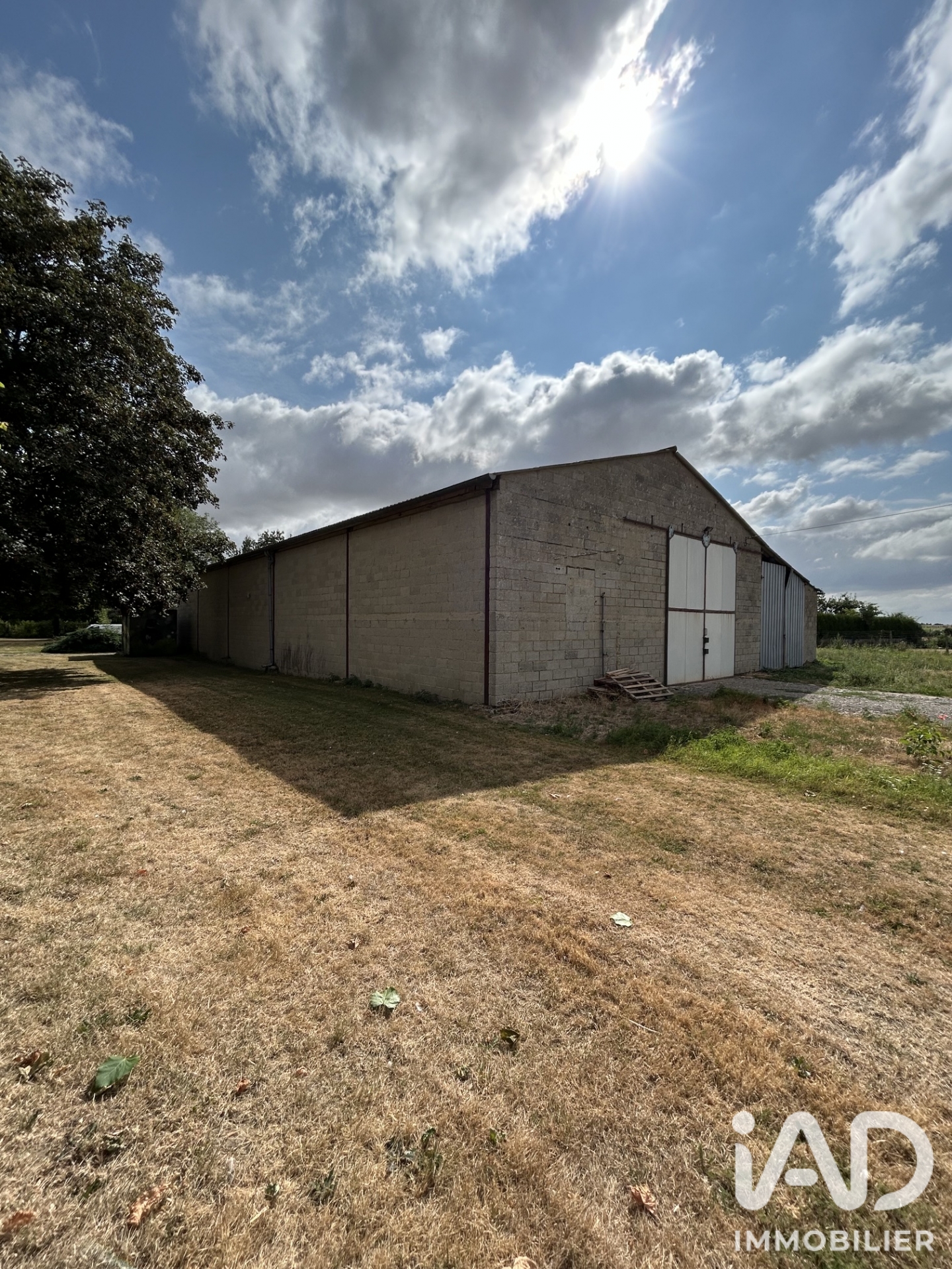 Vente Terrain à bâtir 1 569 m²