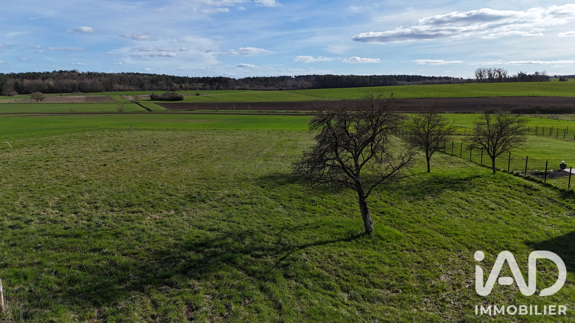 Vente Terrain 4 000 m²