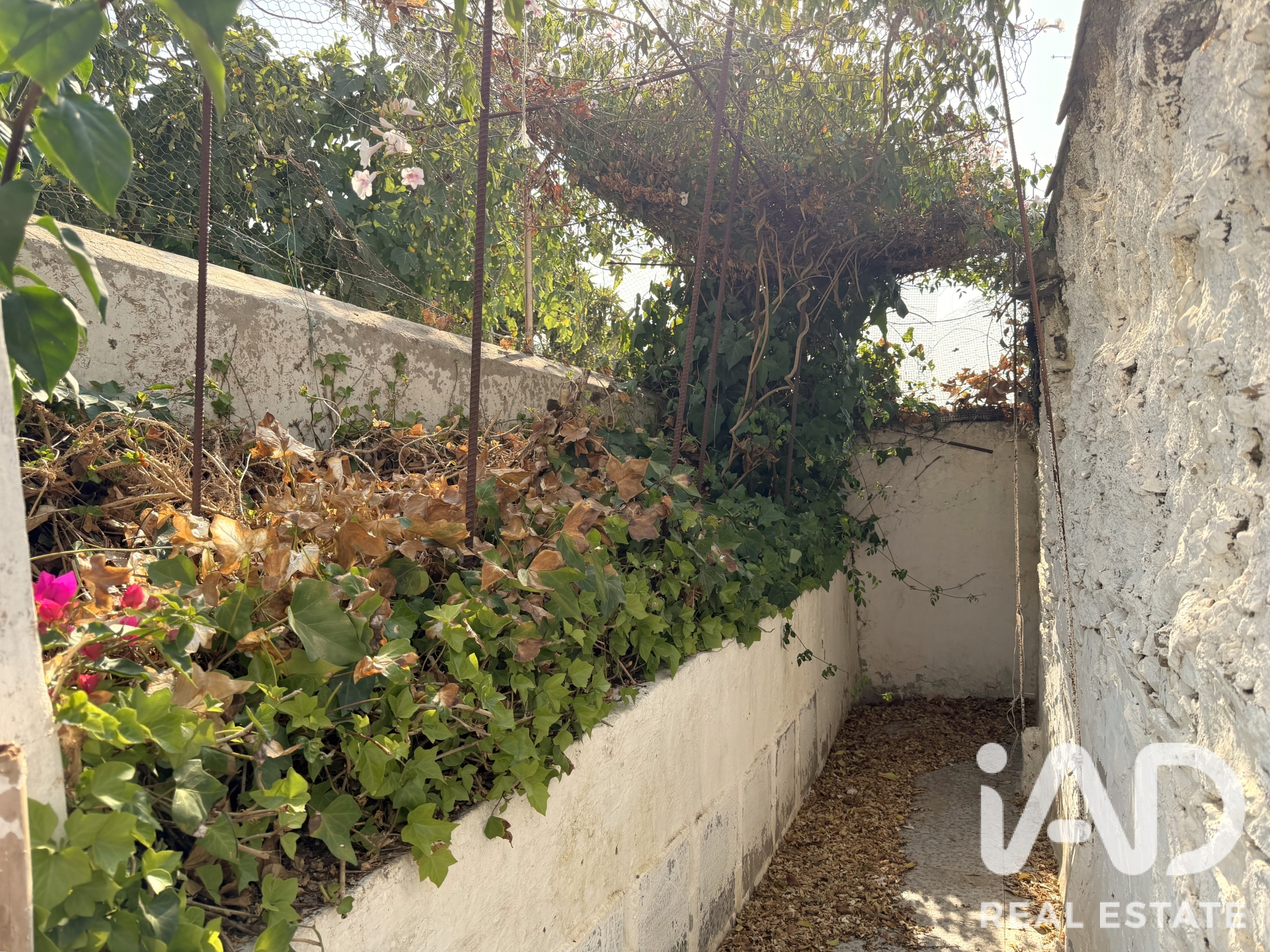 Moradia T0 à venda em Picoitos, Mértola — foto 17