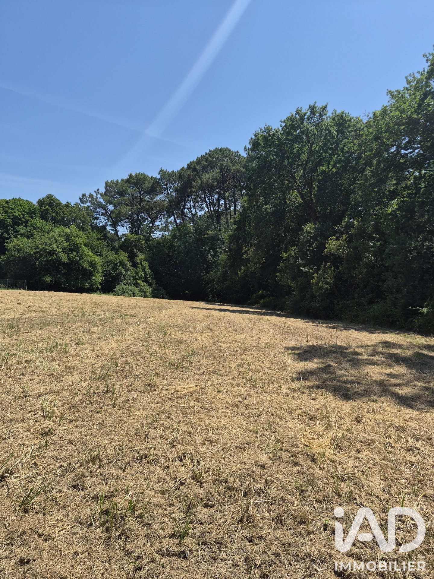 Vente Terrain à bâtir 3 565 m²