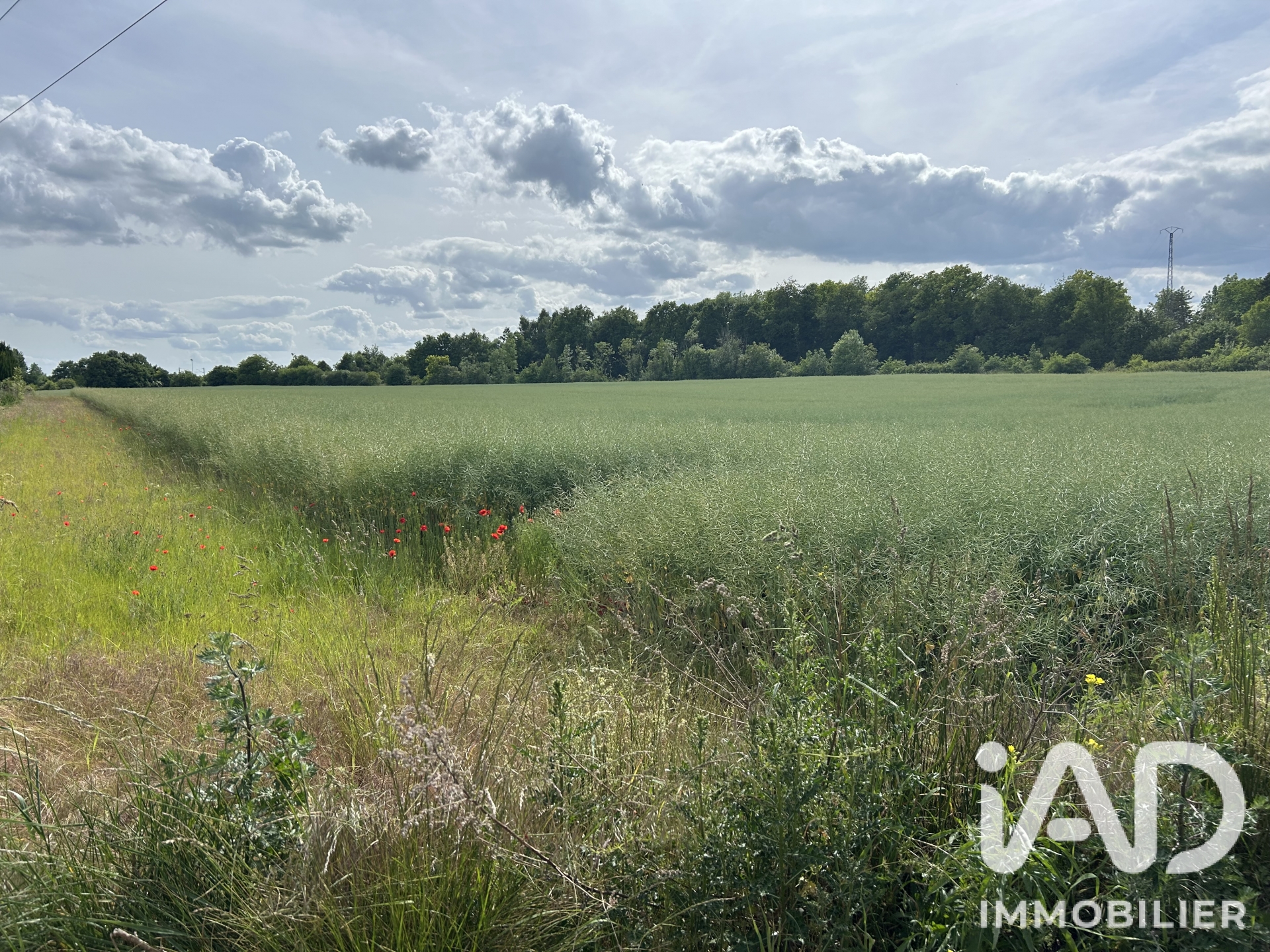 Vente Terrain à bâtir 1 100 m²