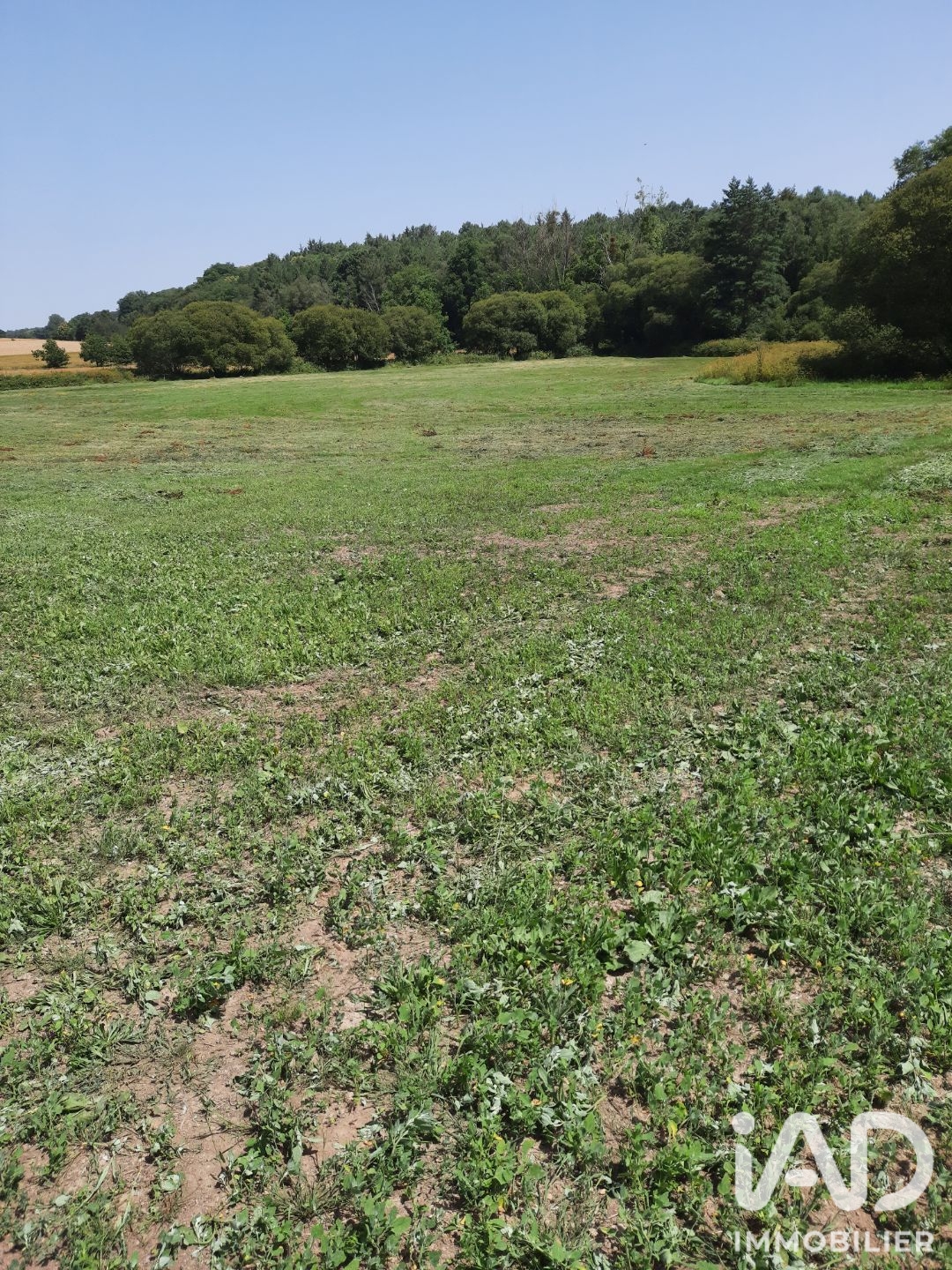 Vente Terrain 61 200 m²