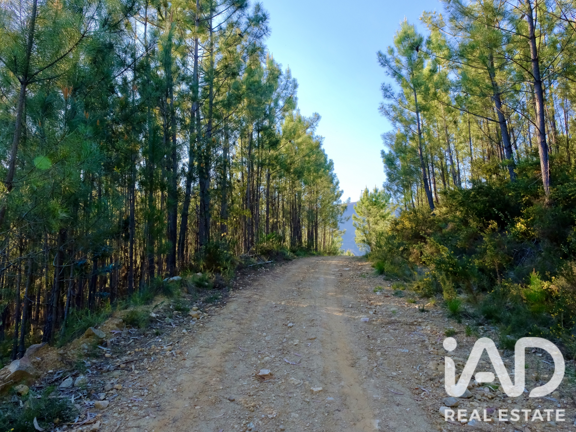 Moradia T2 à venda em Carvalhais, Mirandela — foto 18
