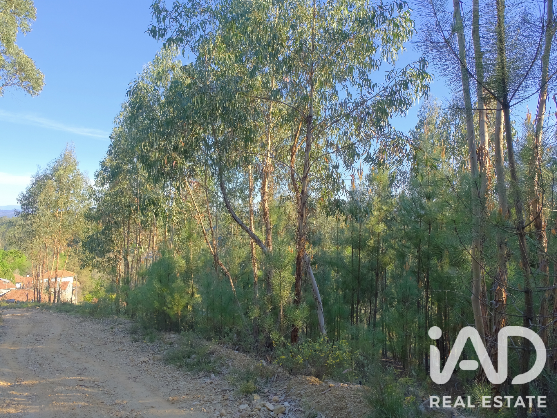 Moradia T2 à venda em Carvalhais, Mirandela — foto 17