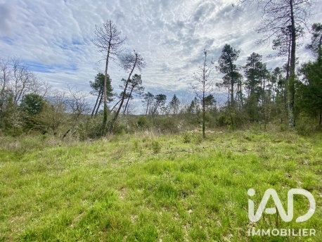 Vente Terrain agricole 5 010 m²