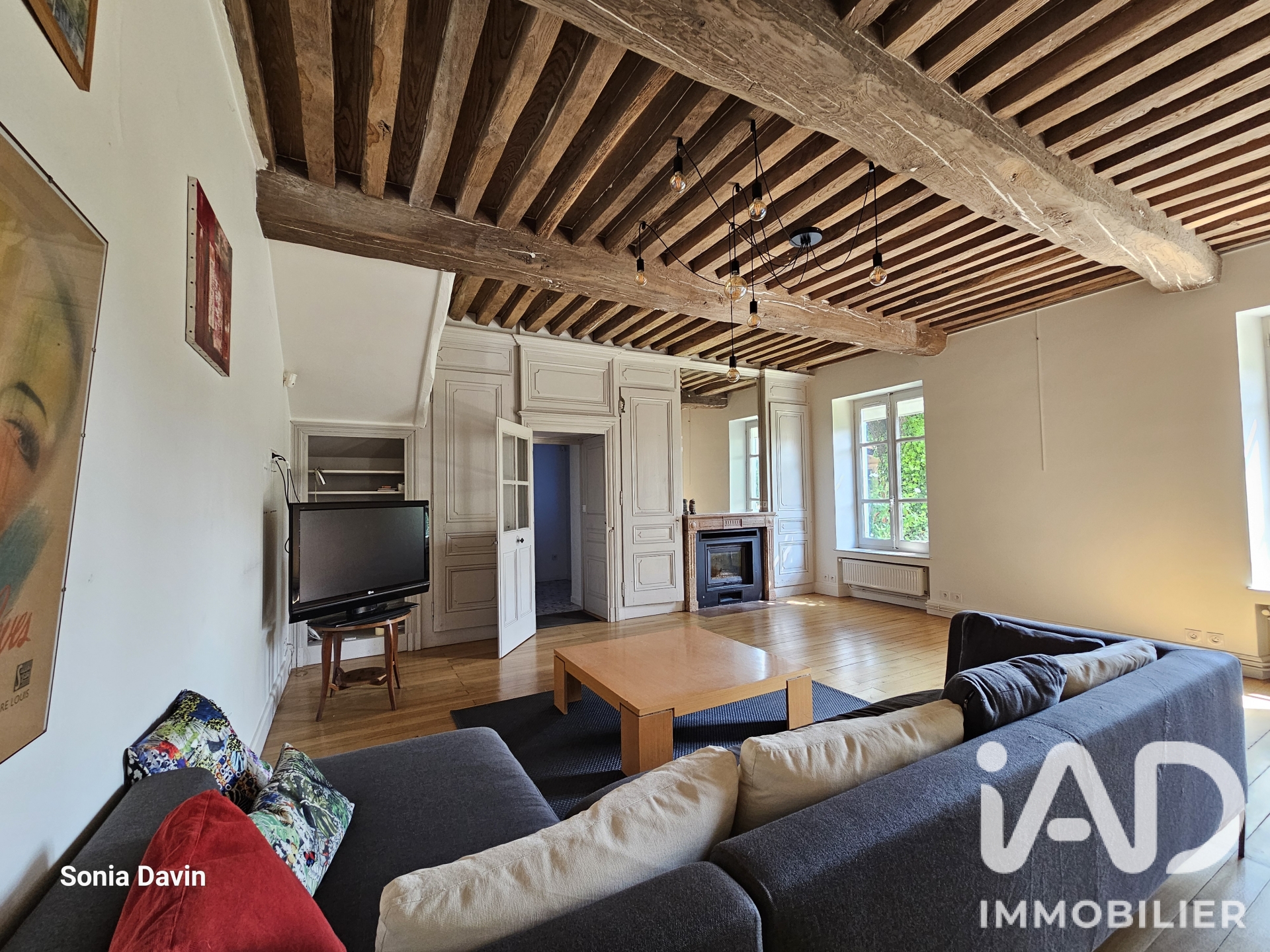 Maison de village à Mionnay (01390) — photo 4