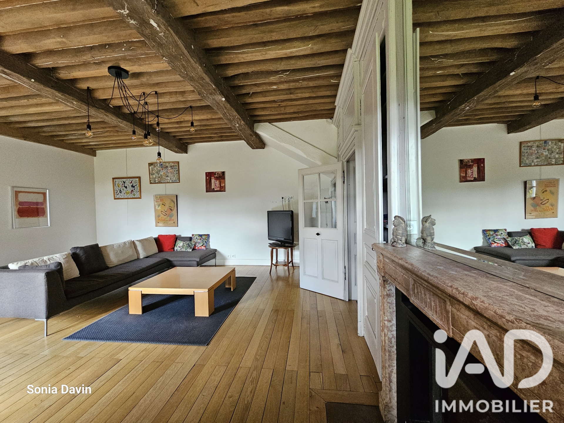 Maison de village à Mionnay (01390) — photo 3