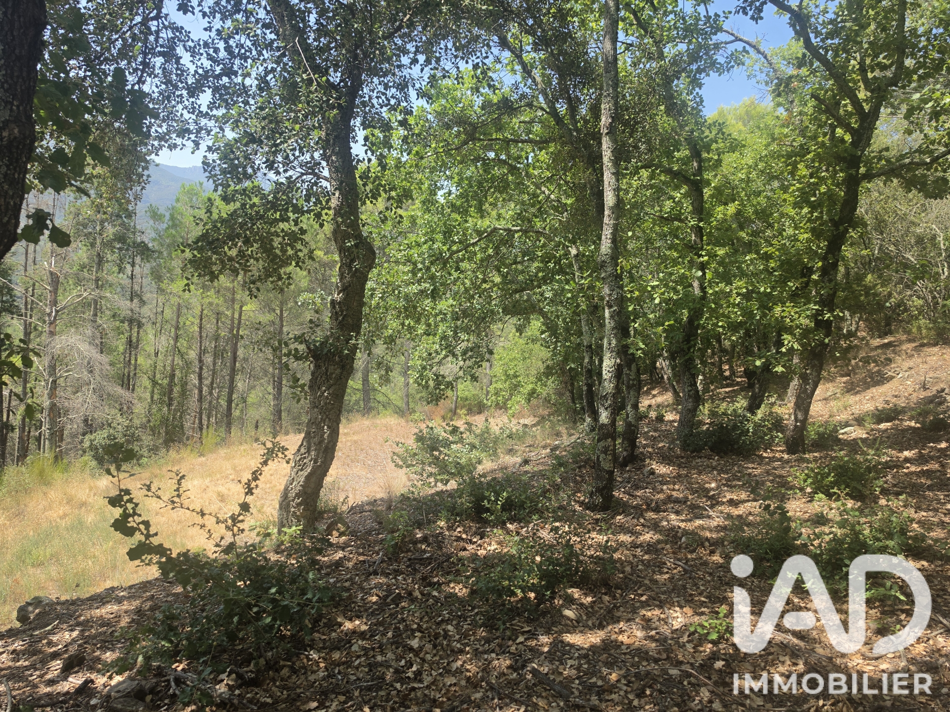 Vente Terrain agricole 17 774 m²