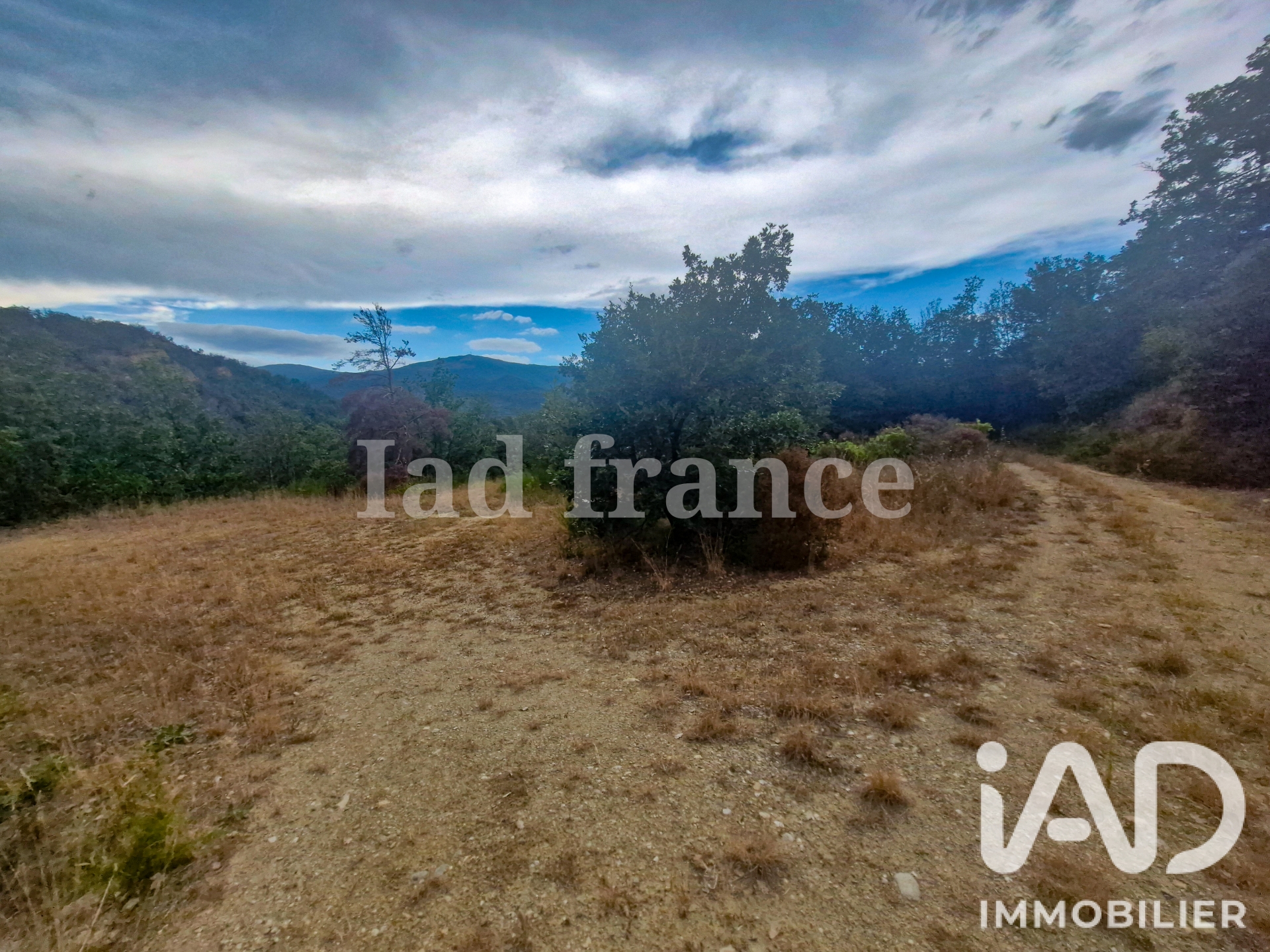 Vente Terrain agricole 20 410 m²