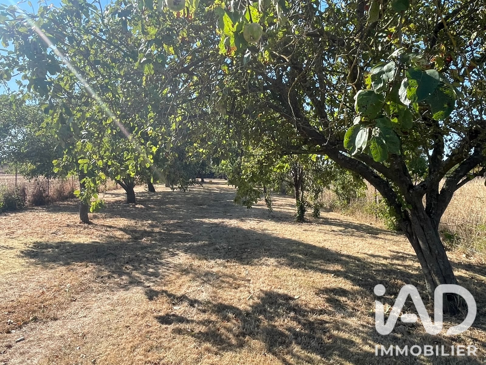 Vente Terrain agricole 2 110 m²
