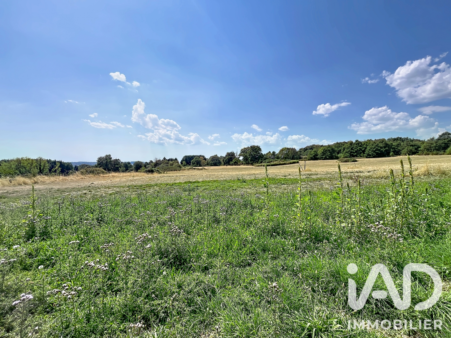 Vente Terrain à bâtir 1 631 m²