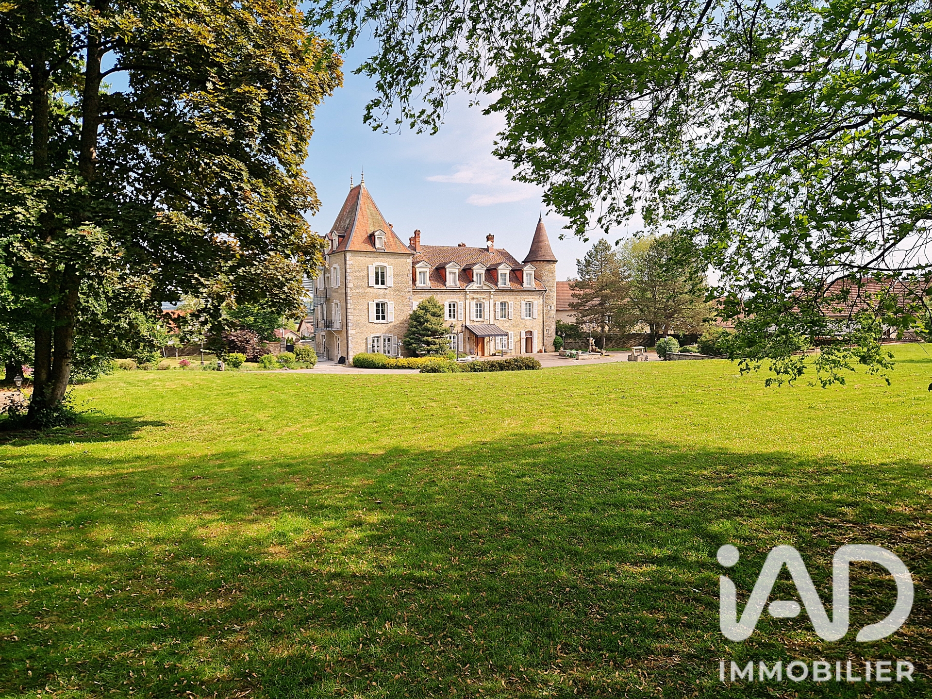 Vente Château 21 pièces