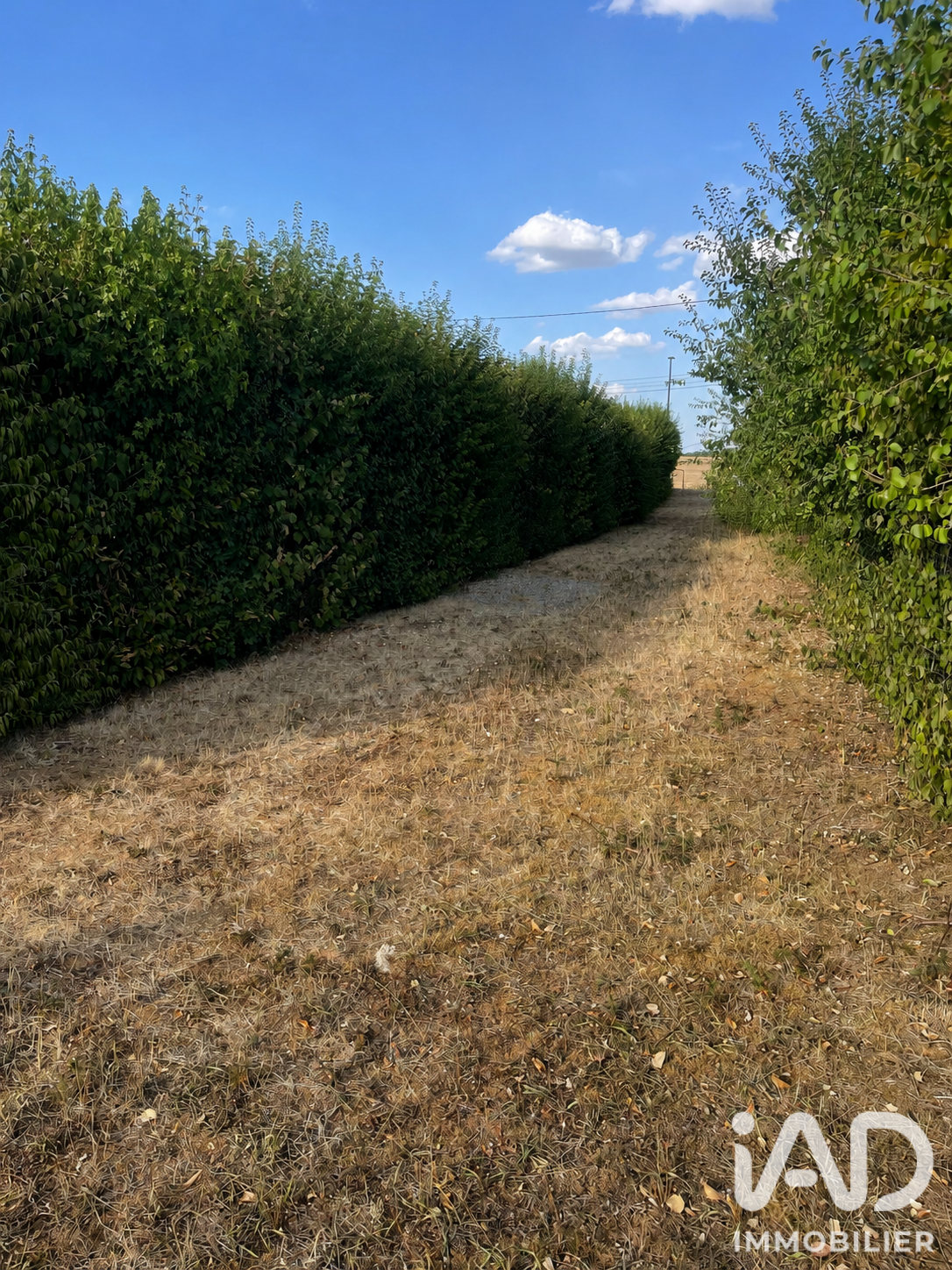 Vente Terrain 2 367 m²