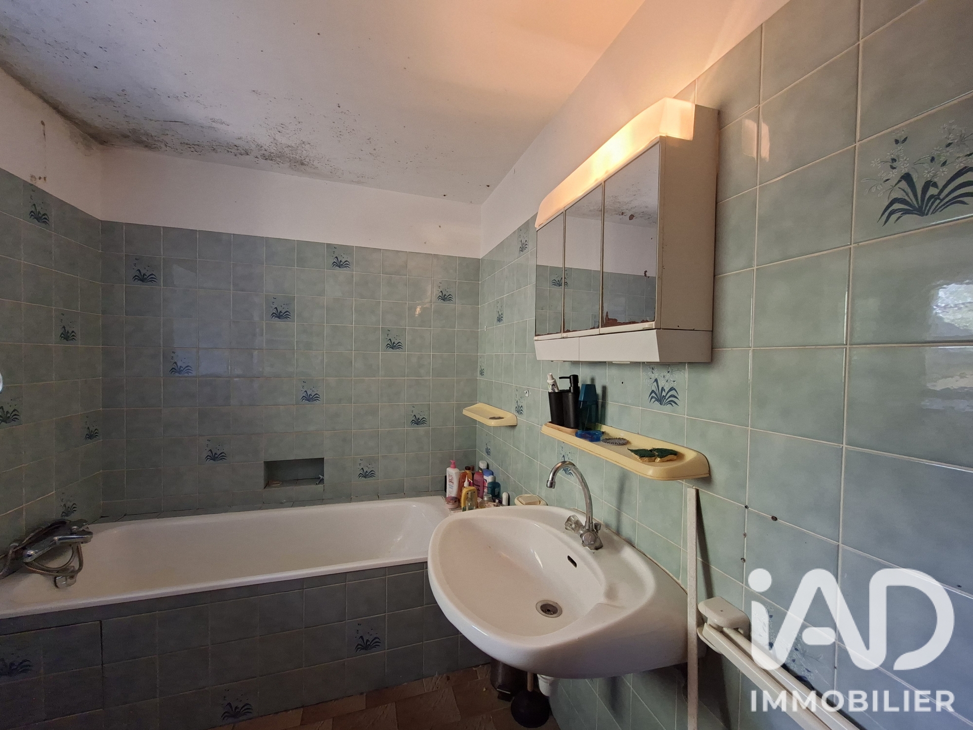 Vente maison à Elven (56250) : maison 6 pièces 112 m² - 2098046 — 21