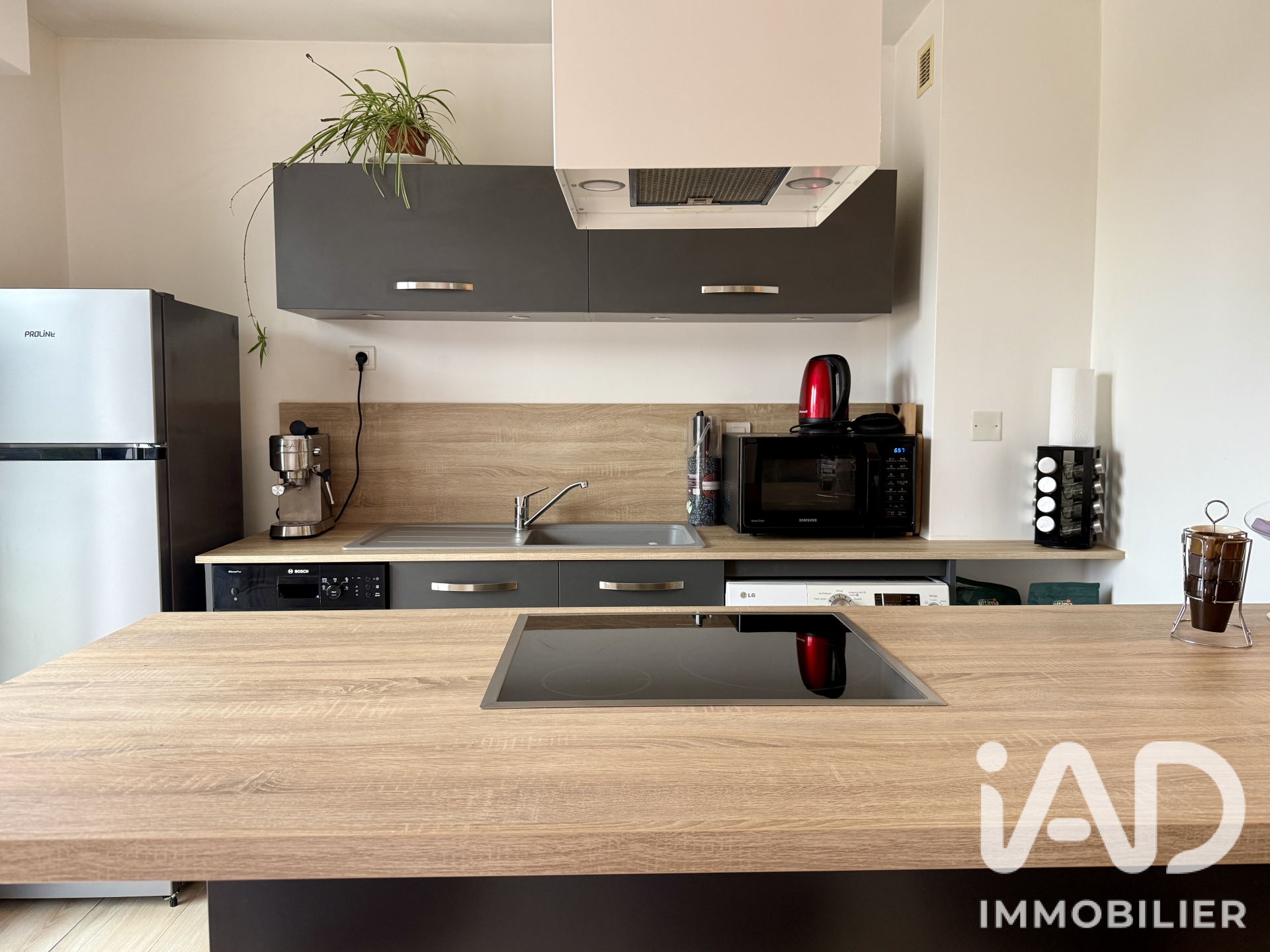 Vente appartement à Reignier-Ésery (74930) : appartement 2 pièces 54 m² - 2094102 — 4