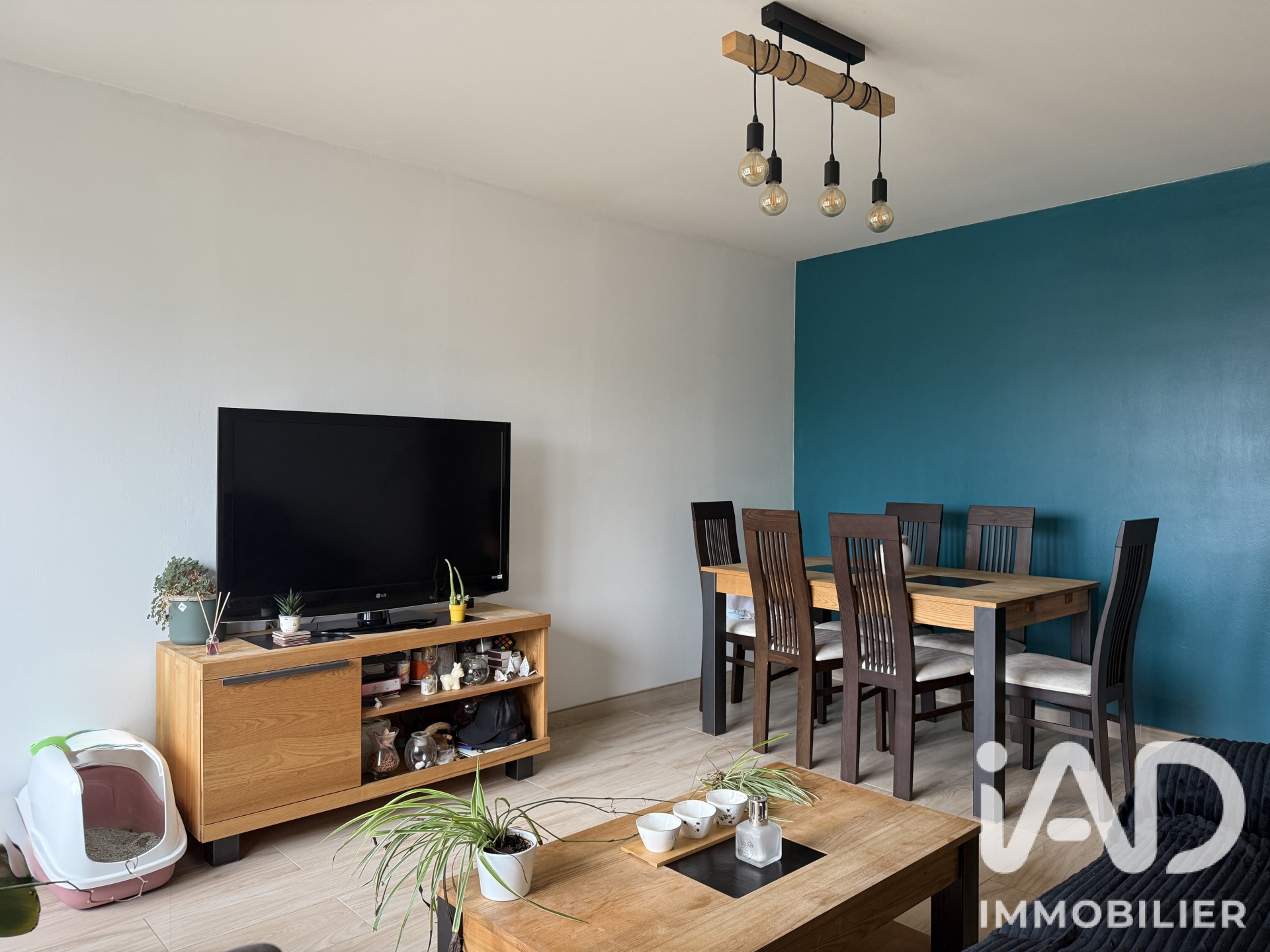 Vente appartement à Reignier-Ésery (74930) : appartement 2 pièces 54 m² - 2094102 — 6