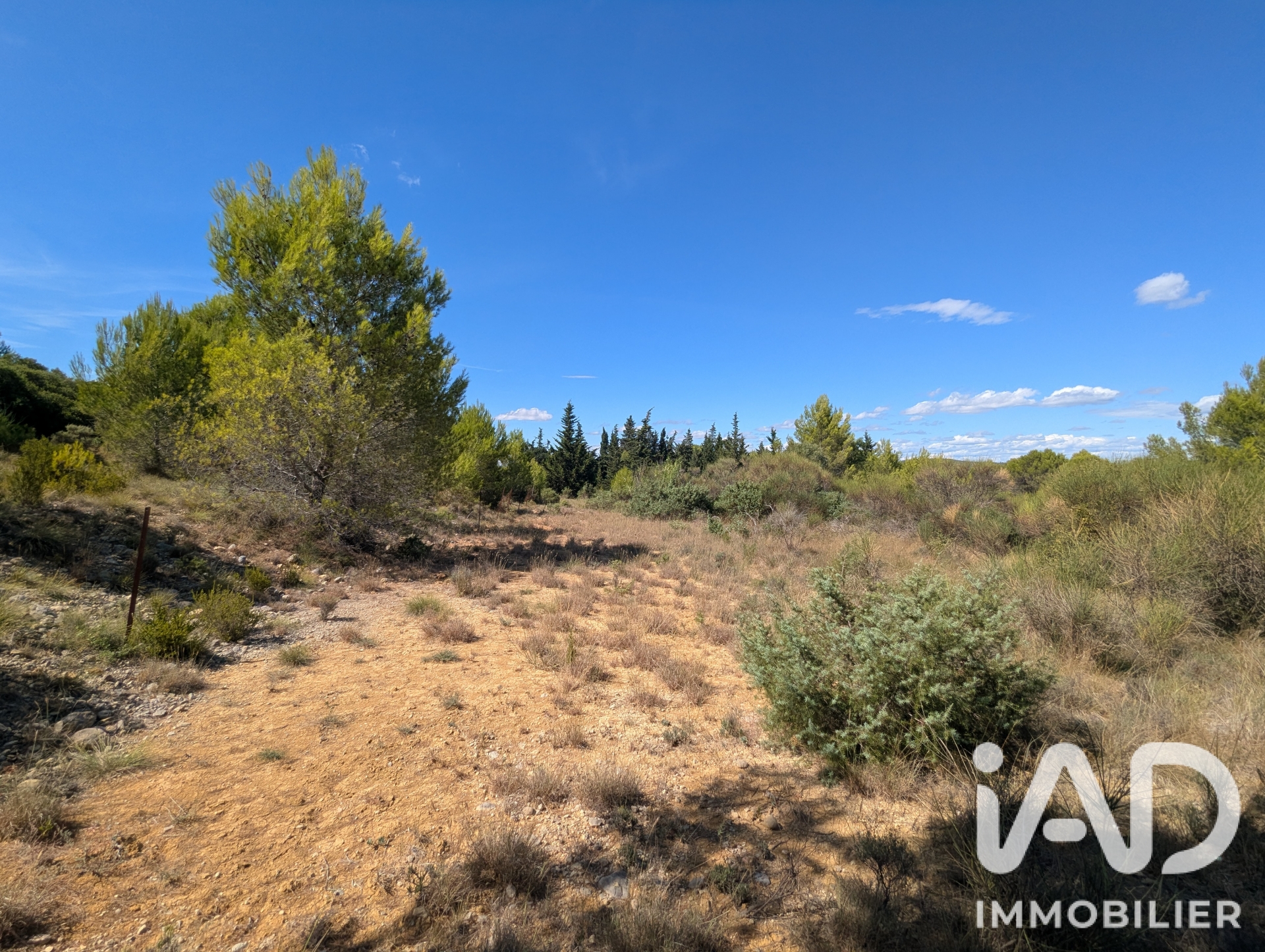 Vente Terrain 12 574 m²