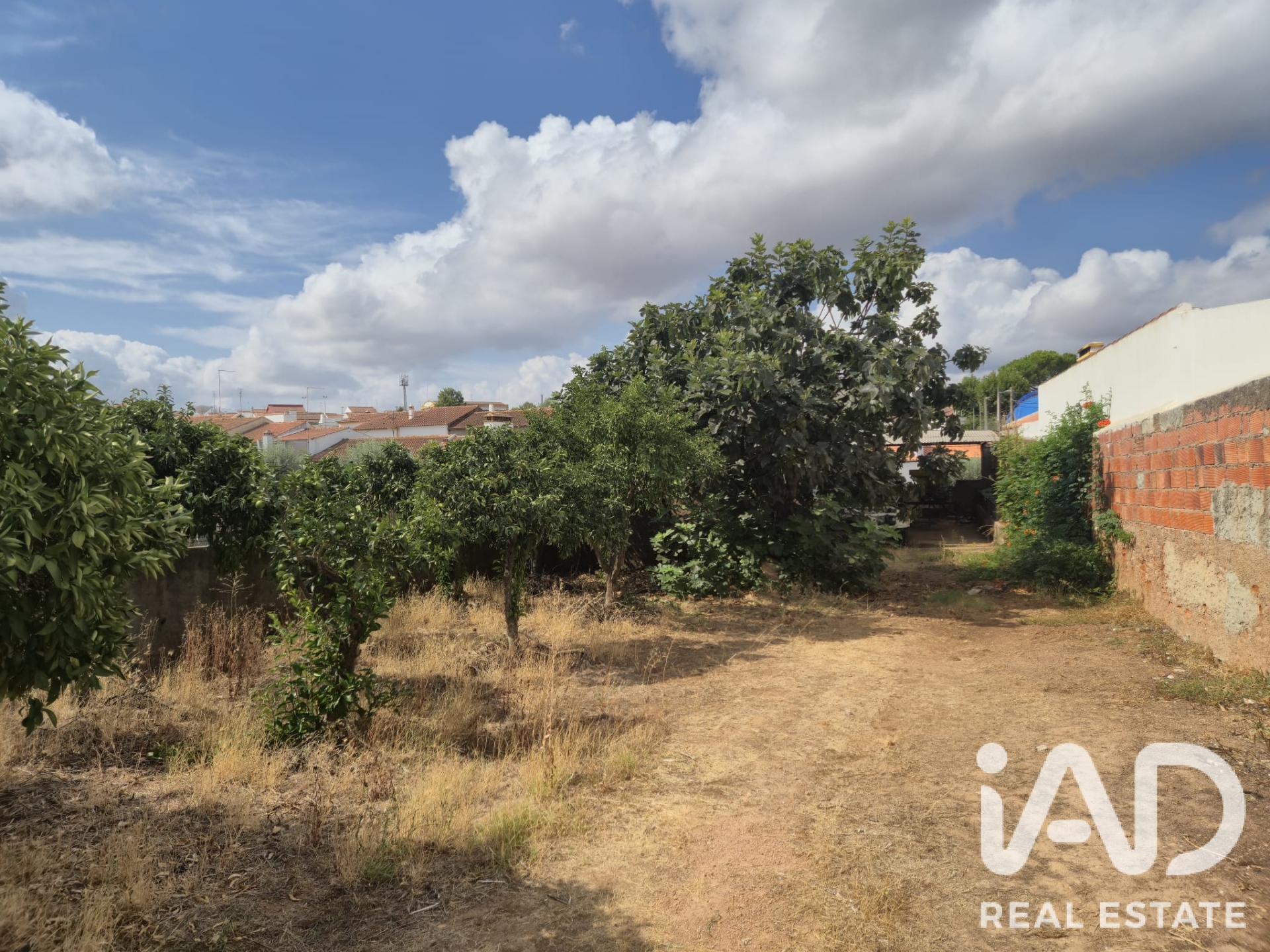 Moradia T3 à venda em Santo Amaro, Sousel — foto 16