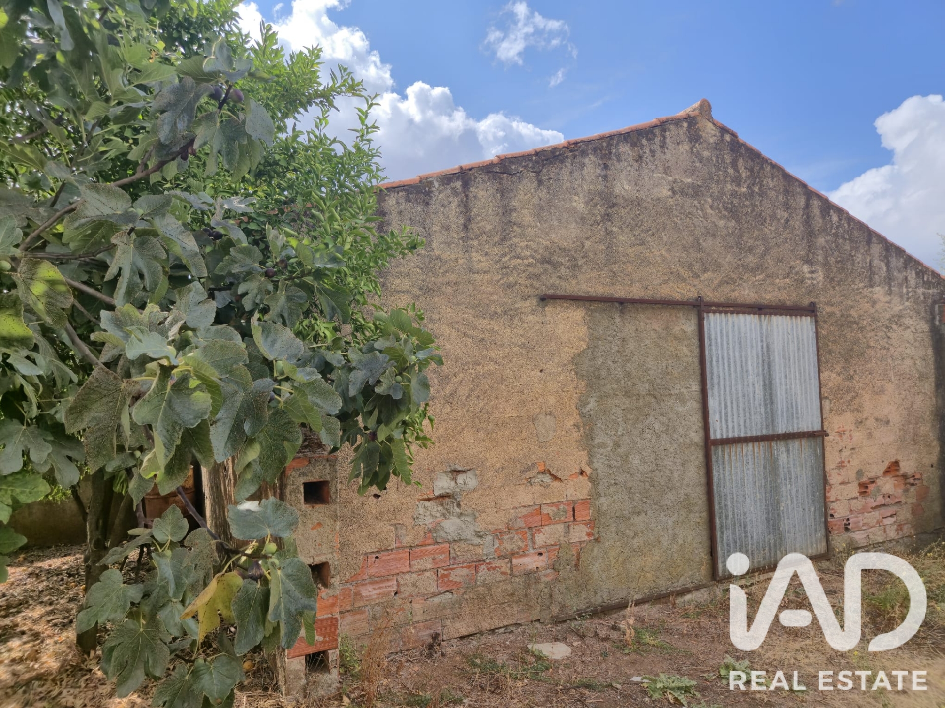 Moradia T3 à venda em Santo Amaro, Sousel — foto 20