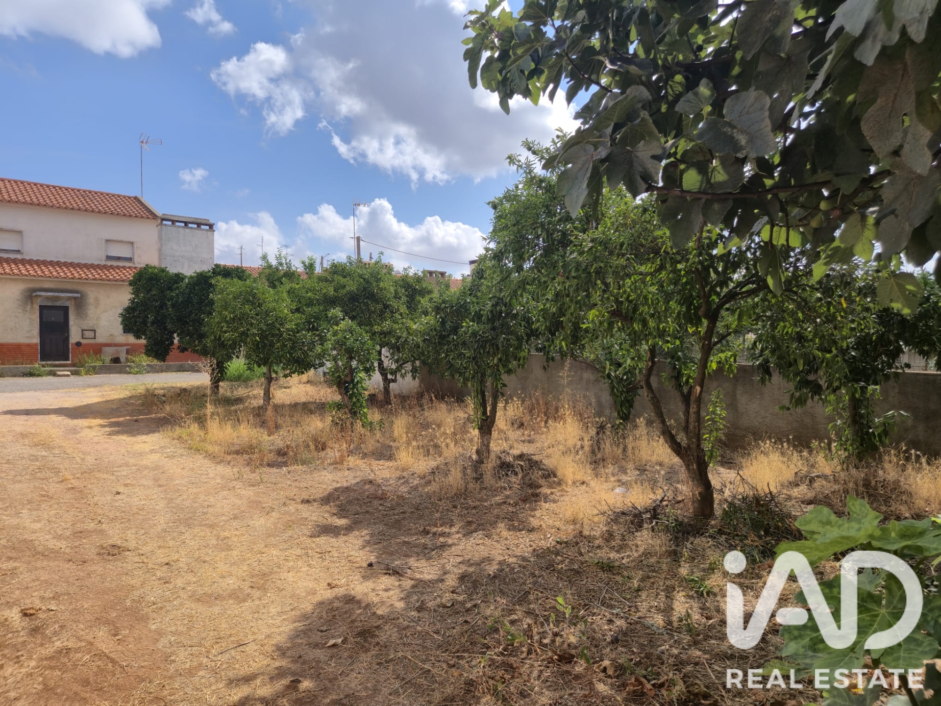 Moradia T3 à venda em Santo Amaro, Sousel — foto 19