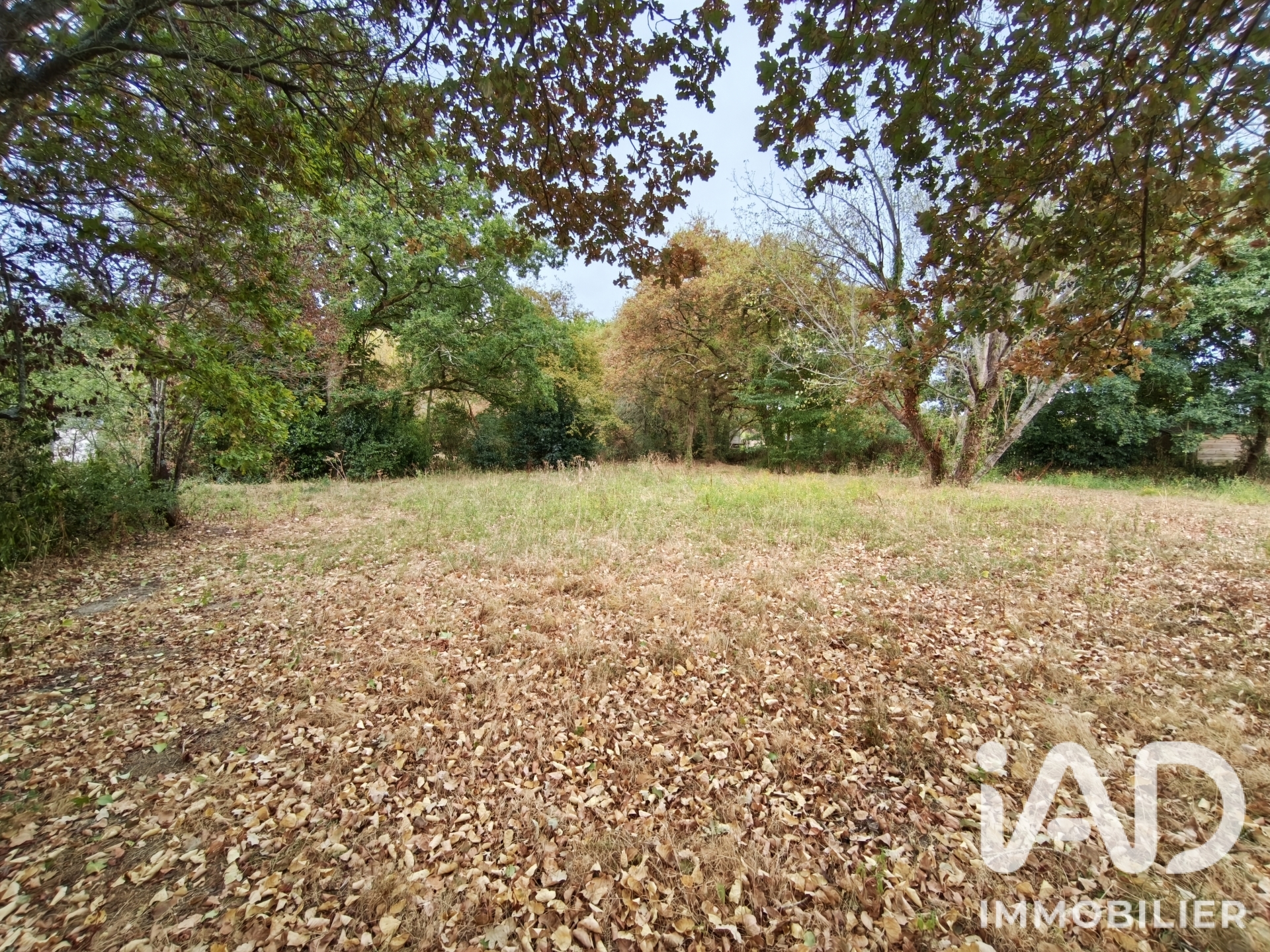Vente Terrain 1 055 m²