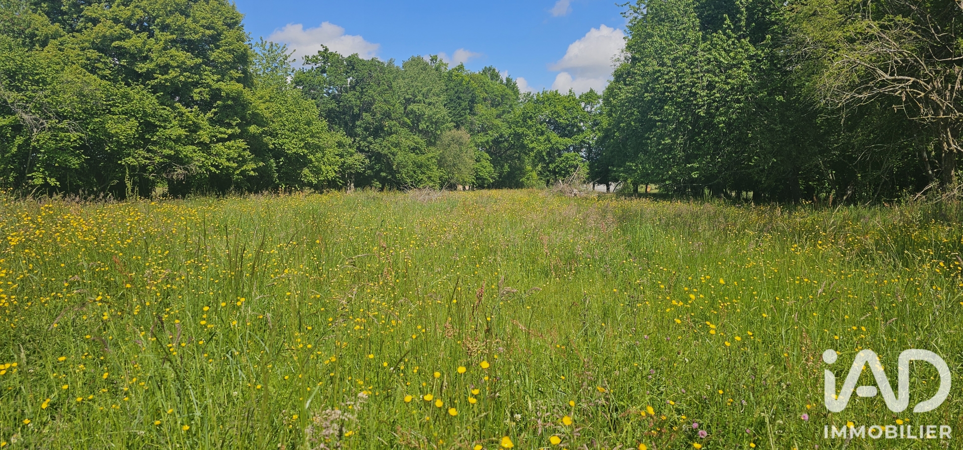 Vente Terrain 5 181 m²