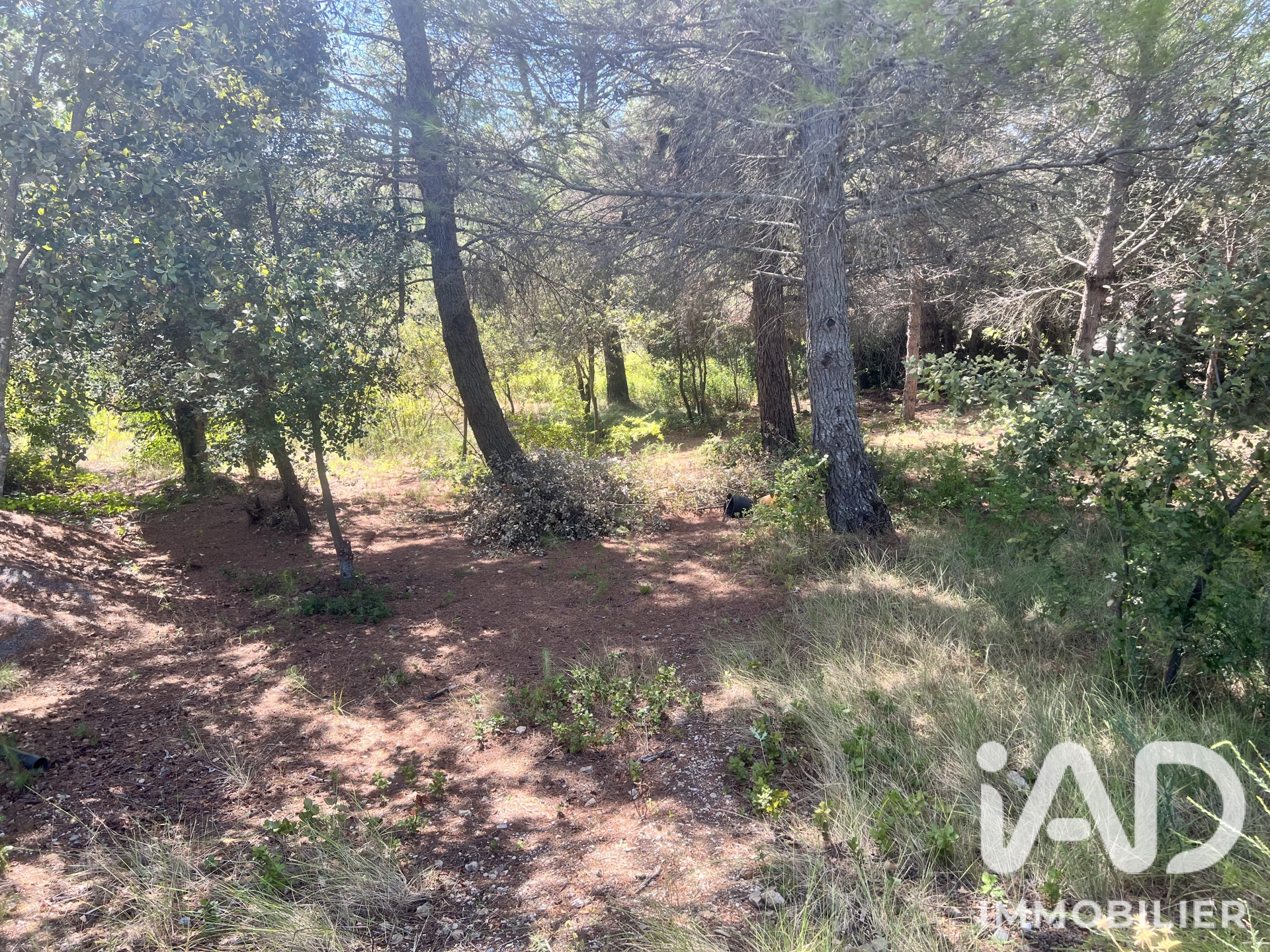 Vente Terrain à bâtir 749 m²