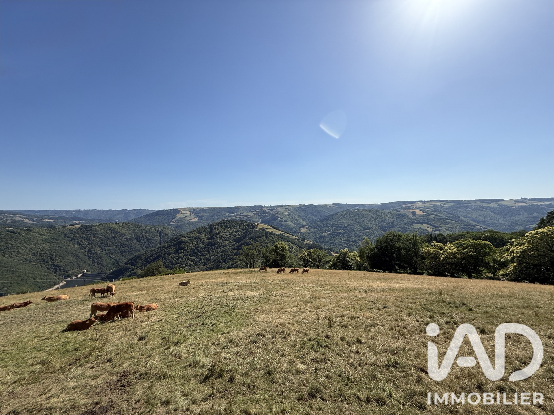 Vente maison à Saint-Hippolyte (12140) : maison de campagne 10 pièces 235 m² - 2084549 — 26