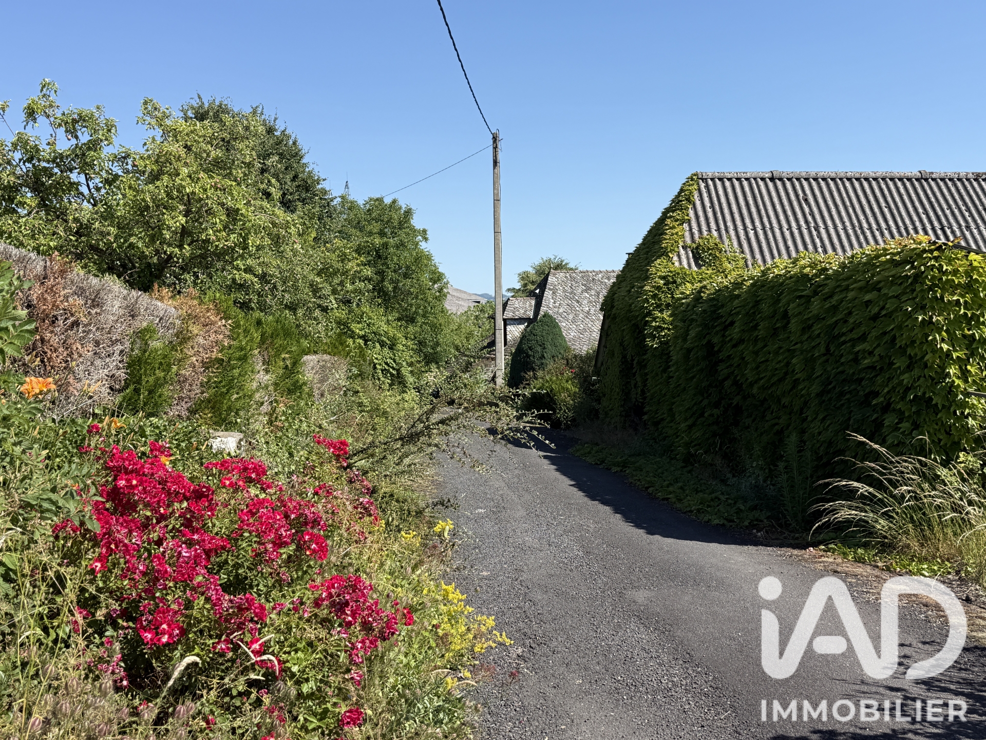 Vente maison à Saint-Hippolyte (12140) : maison de campagne 10 pièces 235 m² - 2084549 — 29