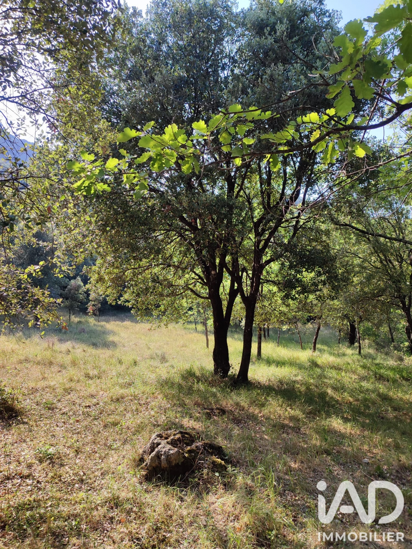 Terrain à vendre à Saint-Laurent-le-Minier — 23 000 € — IAD France