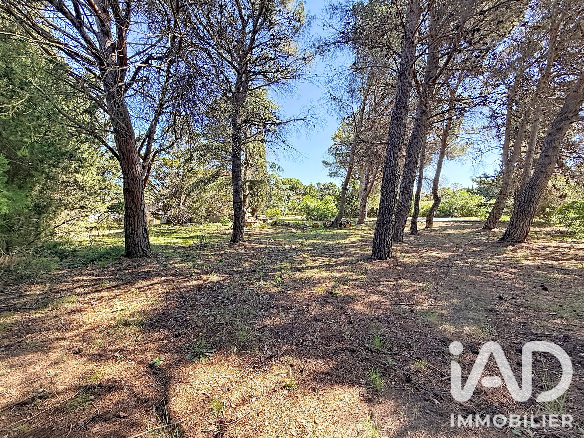 Vente maison à Villemolaque (66300) : maison traditionnelle 5 pièces 132 m² - 2100486 — 12