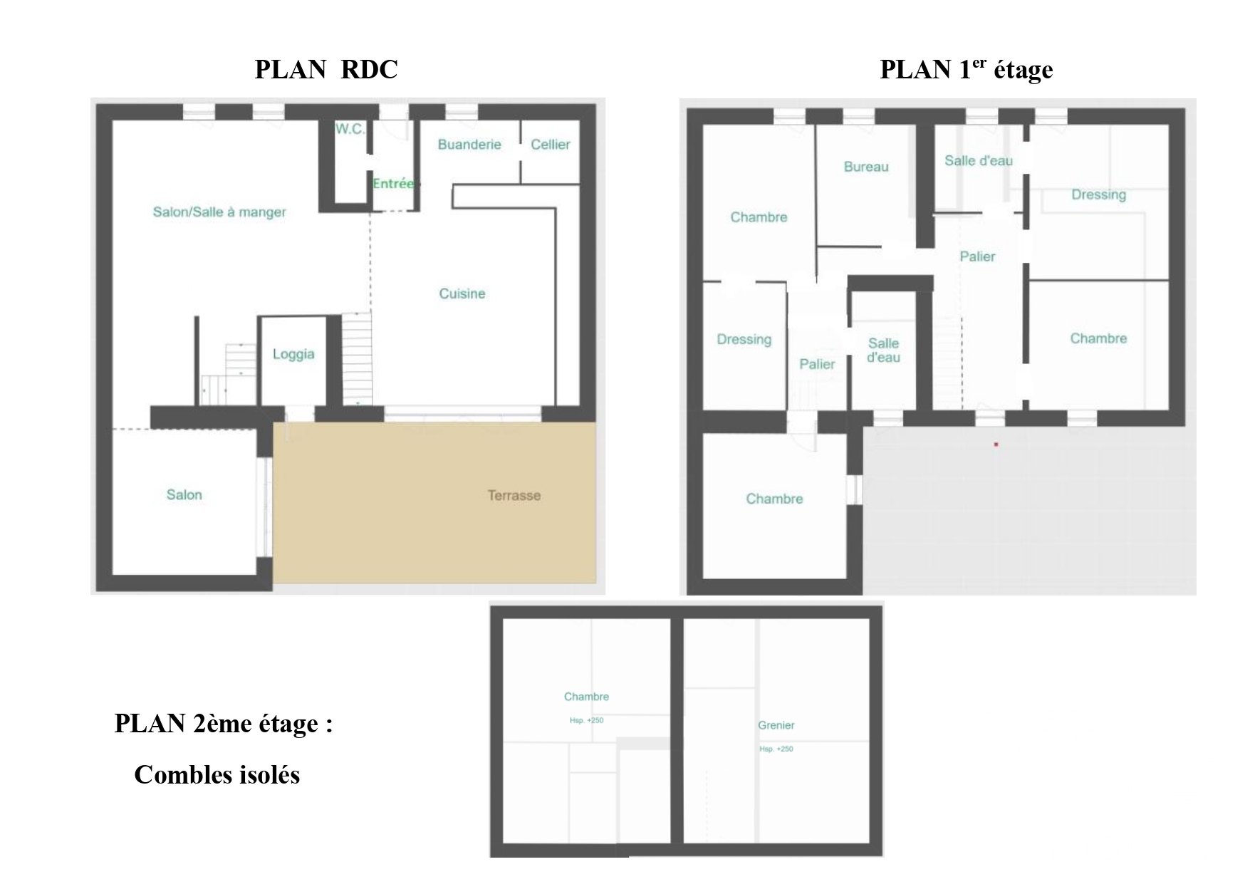 Vente maison à Sainte-Pazanne (44680) : maison 7 pièces 250 m² - 2099364 — 24