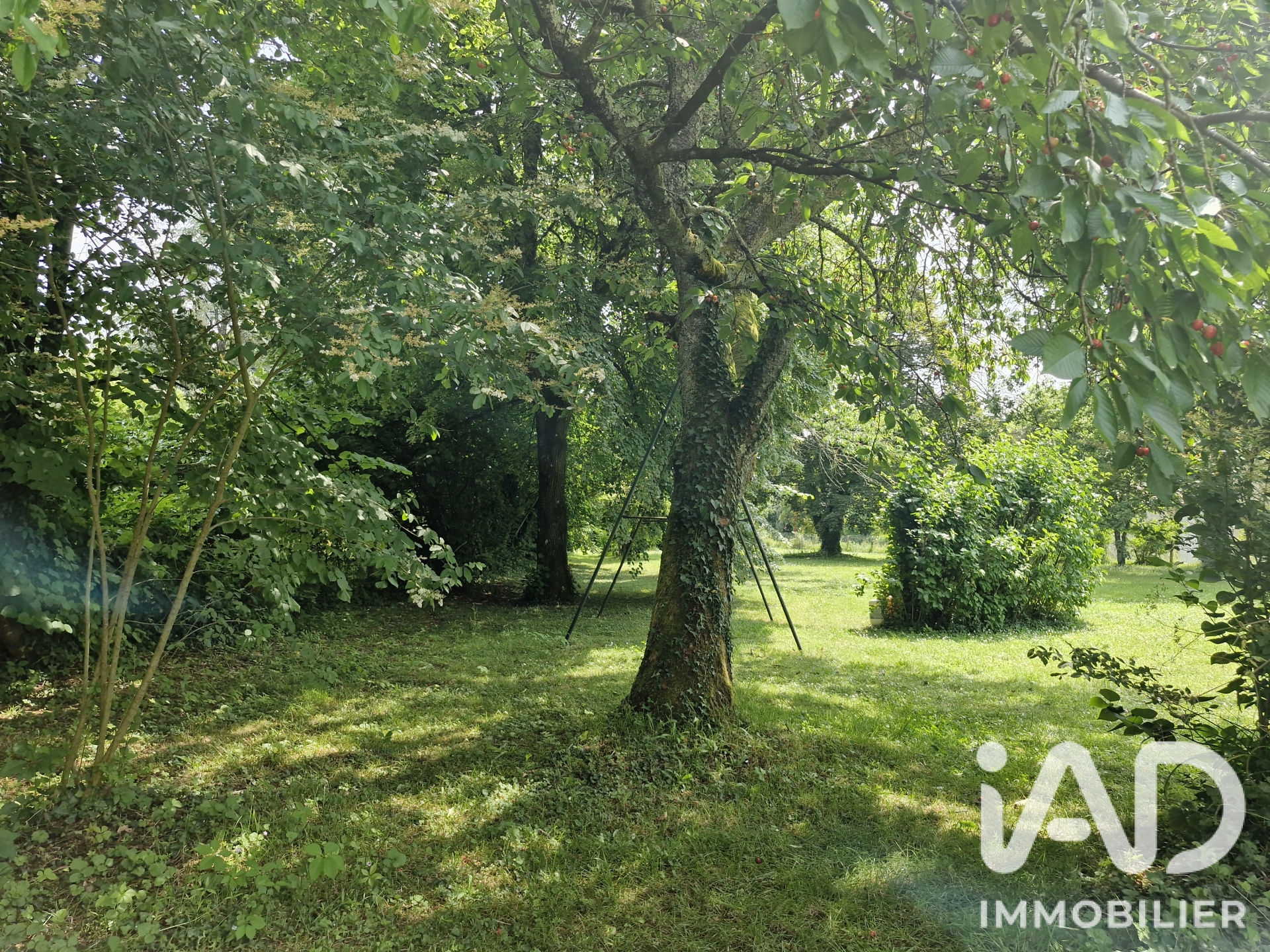 Vente maison à Montcaret (24230) : maison de village 13 pièces 412 m² - 2099668 — 21