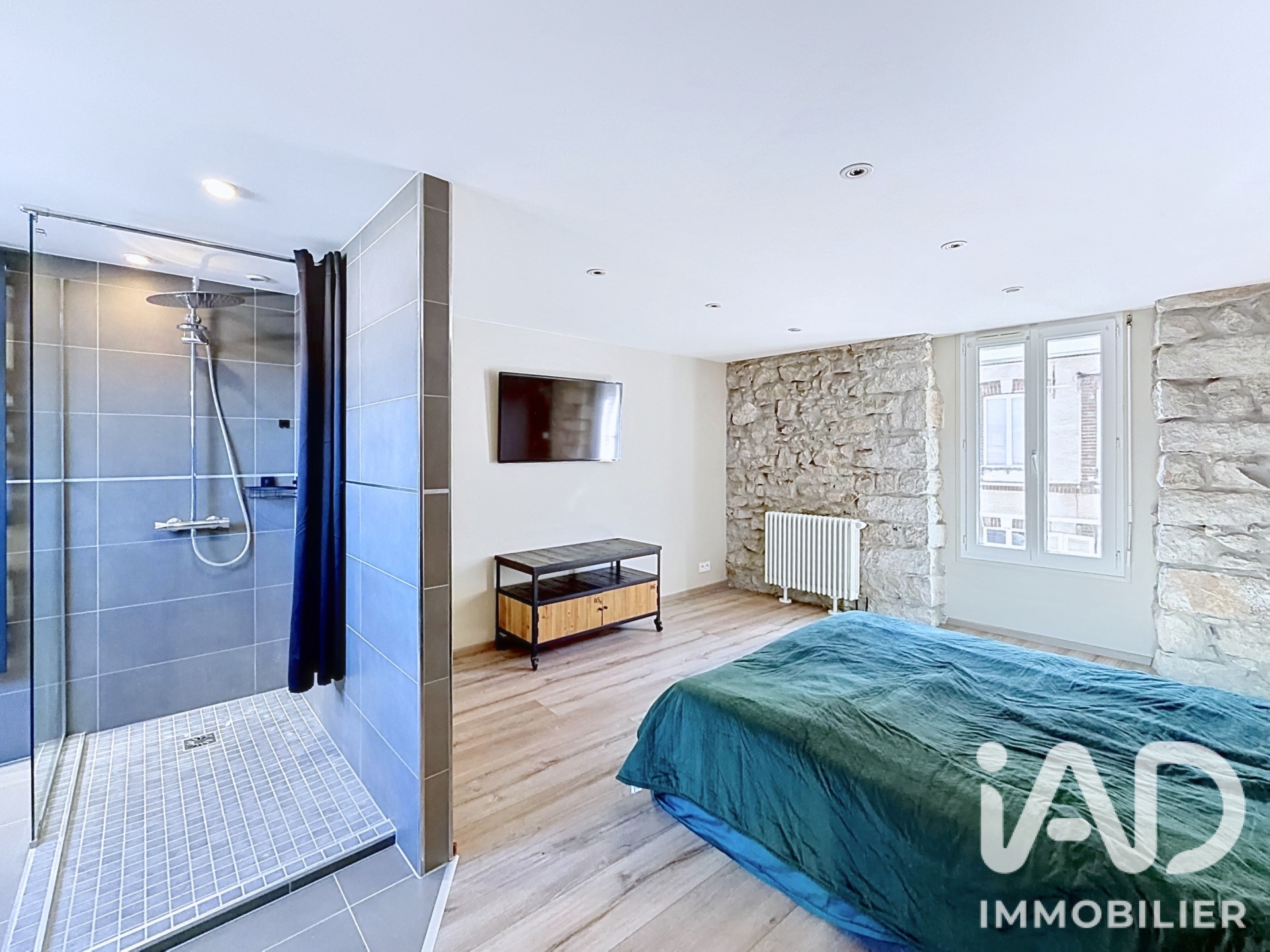 Vente maison à Traînel (10400) : maison 5 pièces 200 m² - 2100996 — 14