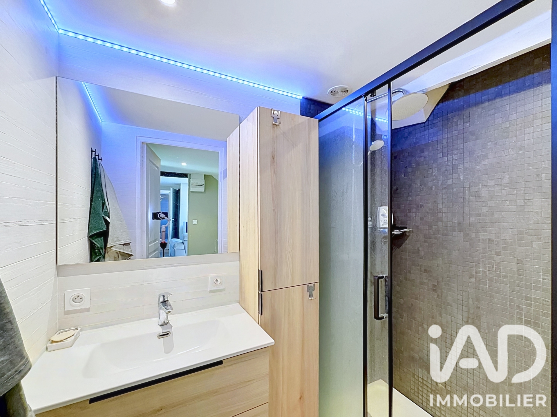Vente maison à Traînel (10400) : maison 5 pièces 200 m² - 2100996 — 13
