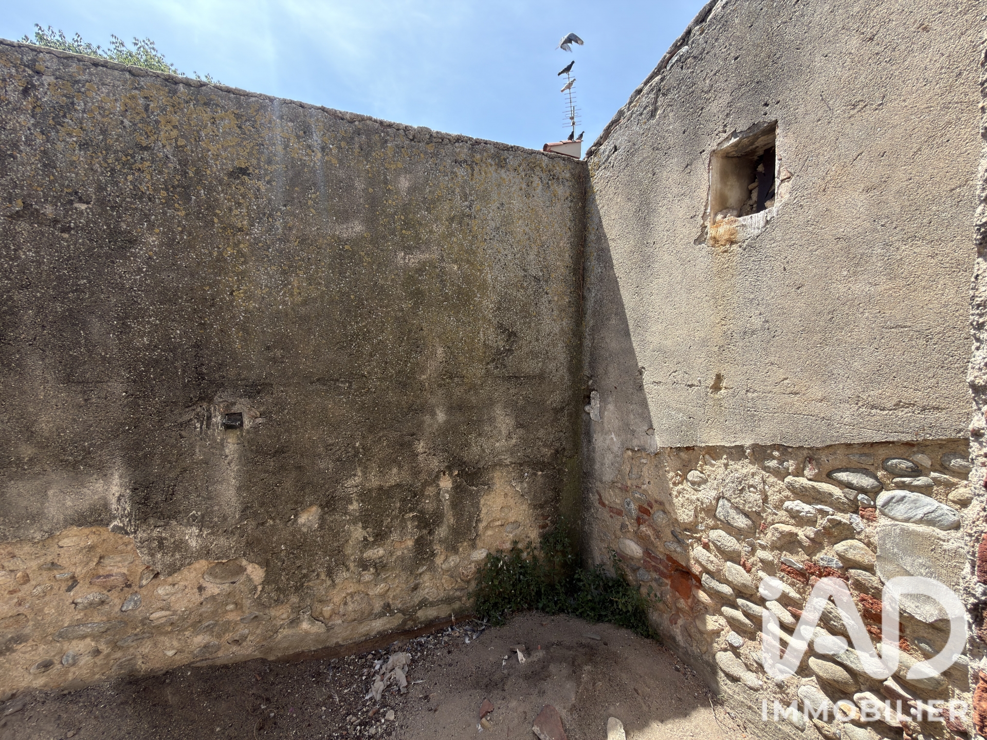 Vente maison à Le Boulou (66160) : grange 4 pièces 130 m² - 2104131 — 13