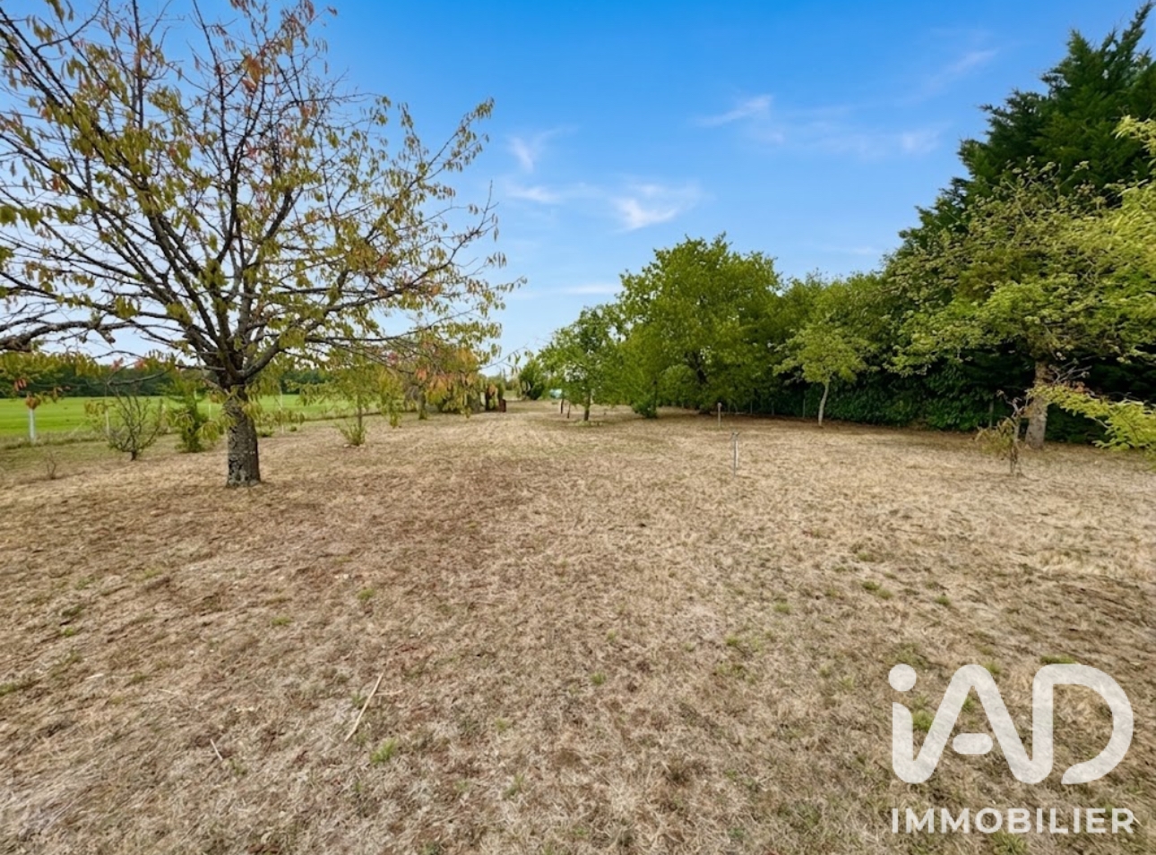 Vente maison à Sandillon (45640) : maison 6 pièces 145 m² - 2098733 — 23