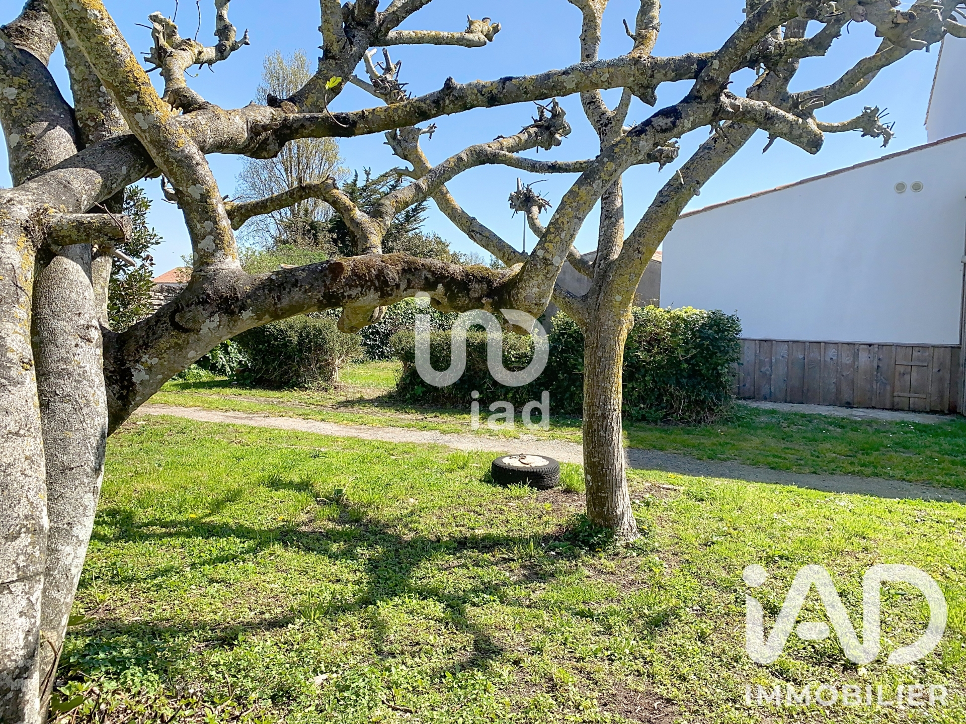Vente maison à La Couarde-sur-Mer (17670) : maison traditionnelle 7 pièces 147 m² - 2101119 — 19