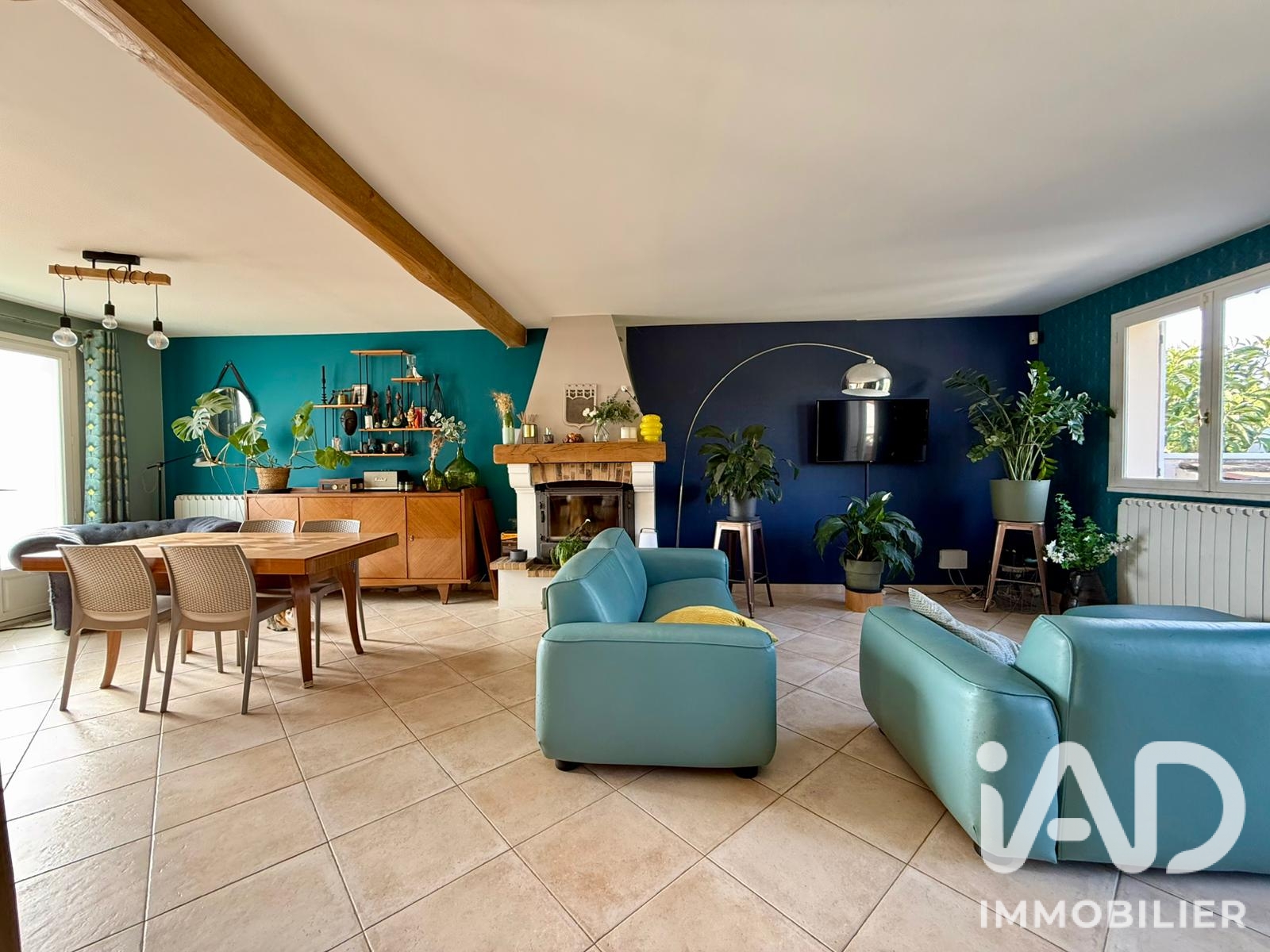 Vente Maison/villa 7 pièces