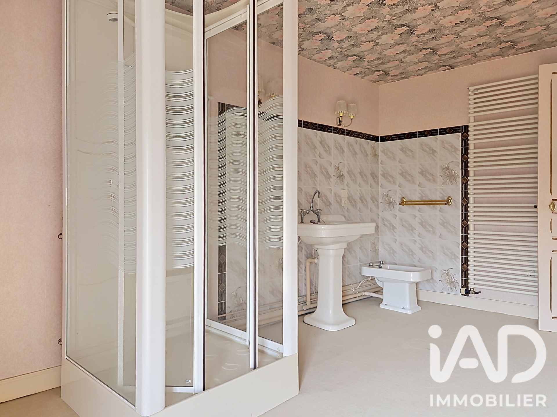 Vente maison à Bléneau (89220) : maison 6 pièces 268 m² - 2100707 — 19