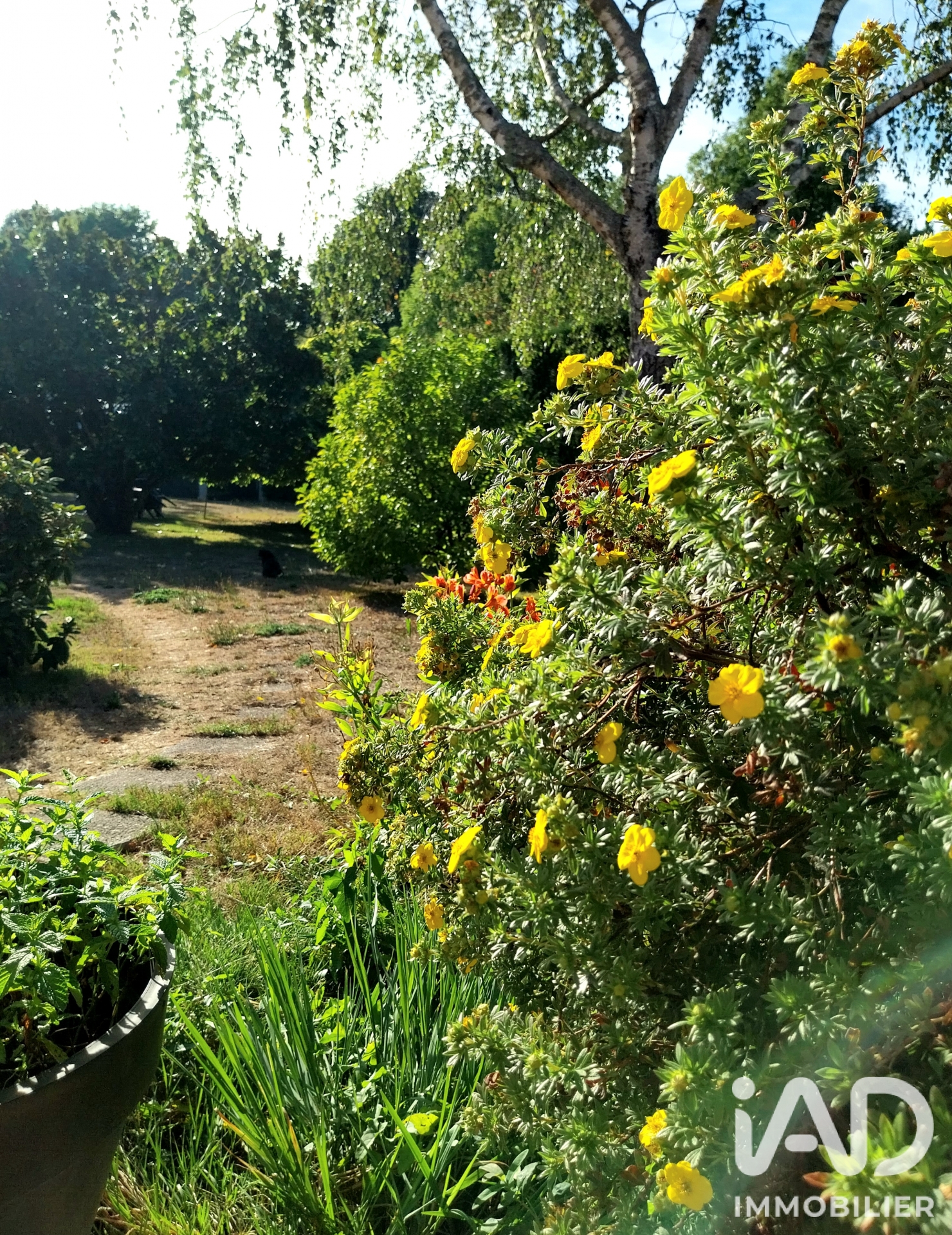 Vente maison à Couzeix (87270) : longère 10 pièces 237 m² - 2098517 — 20