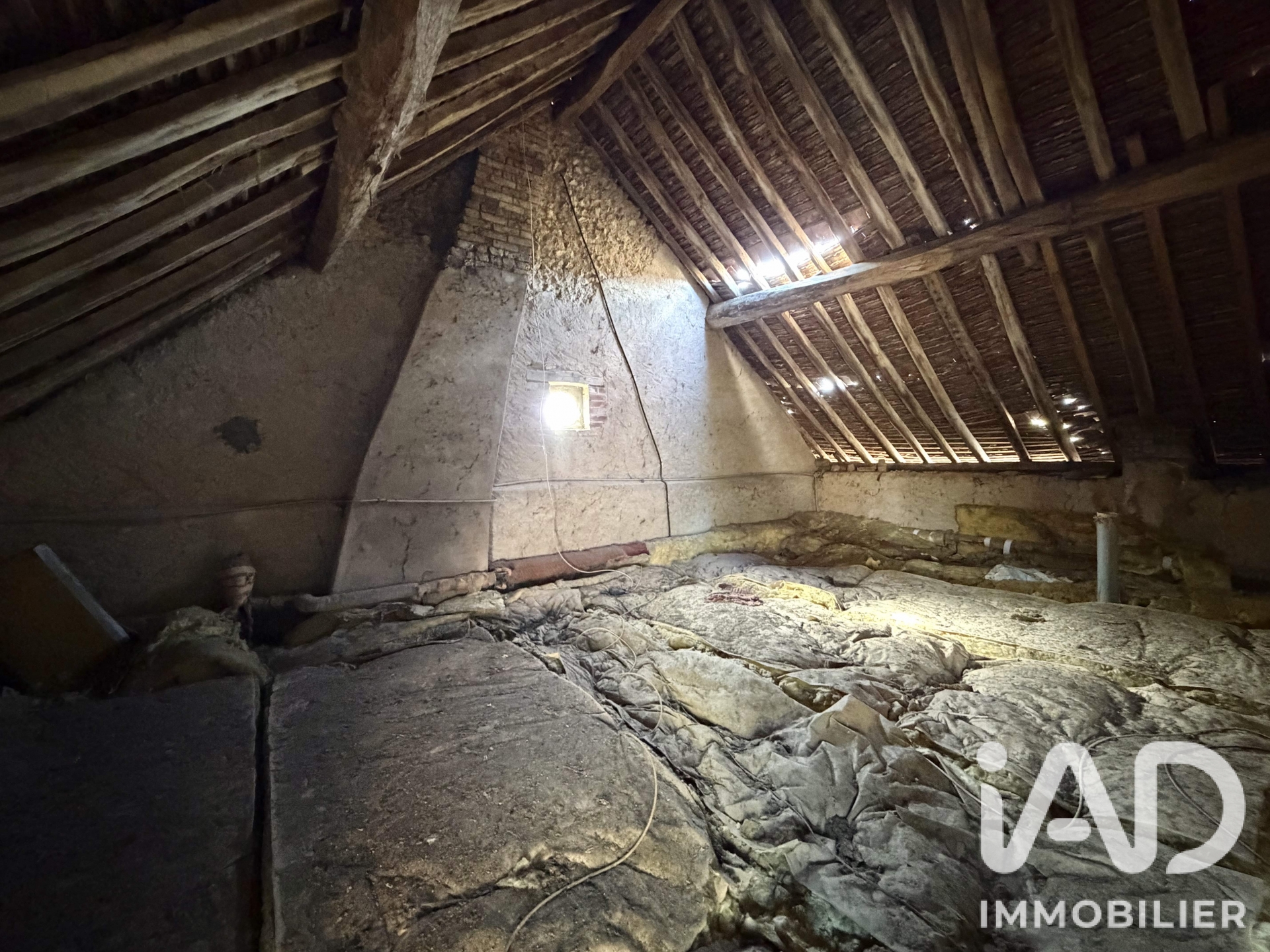 Vente maison à Saint-Maurice-sur-Aveyron (45230) : maison de campagne 3 pièces 60 m² - 2095682 — 10