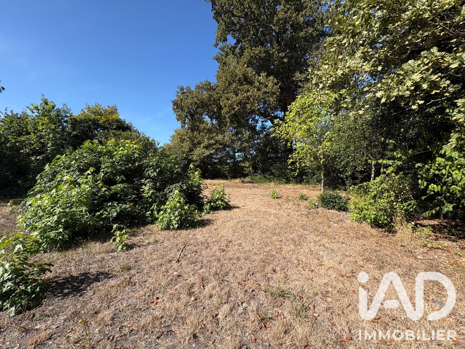 Vente maison à Villandraut (33730) : maison de village 4 pièces 166 m² - 2101352 — 24