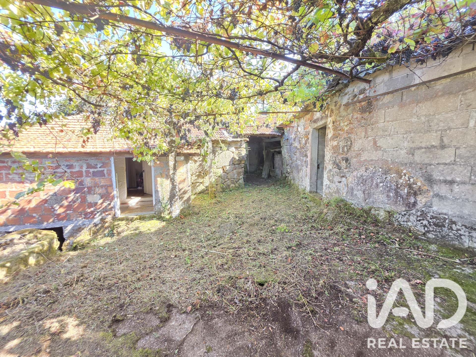 Casa de campo  em Covas 