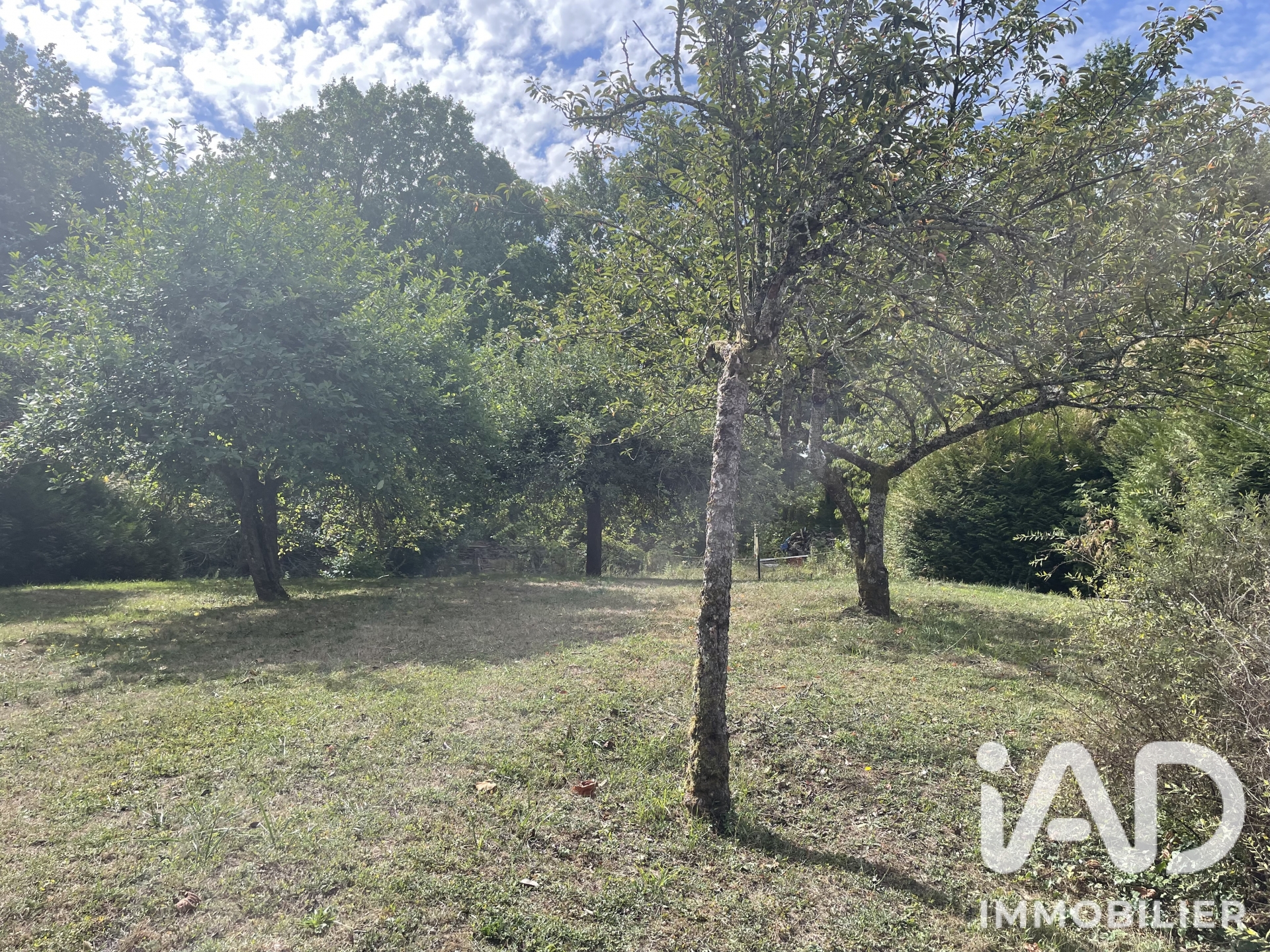 Vente maison à Coulommiers (77120) : maison traditionnelle 6 pièces 132 m² - 2101619 — 6