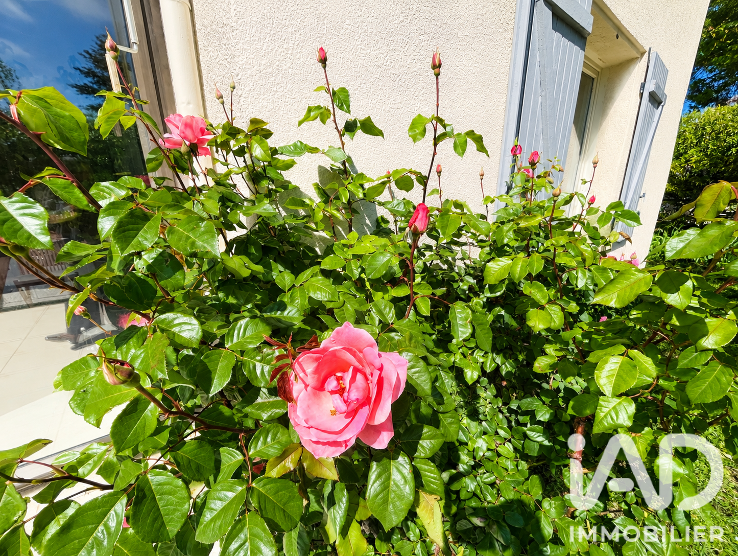 Vente maison à Lavérune (34880) : maison 8 pièces 190 m² - 2102403 — 21