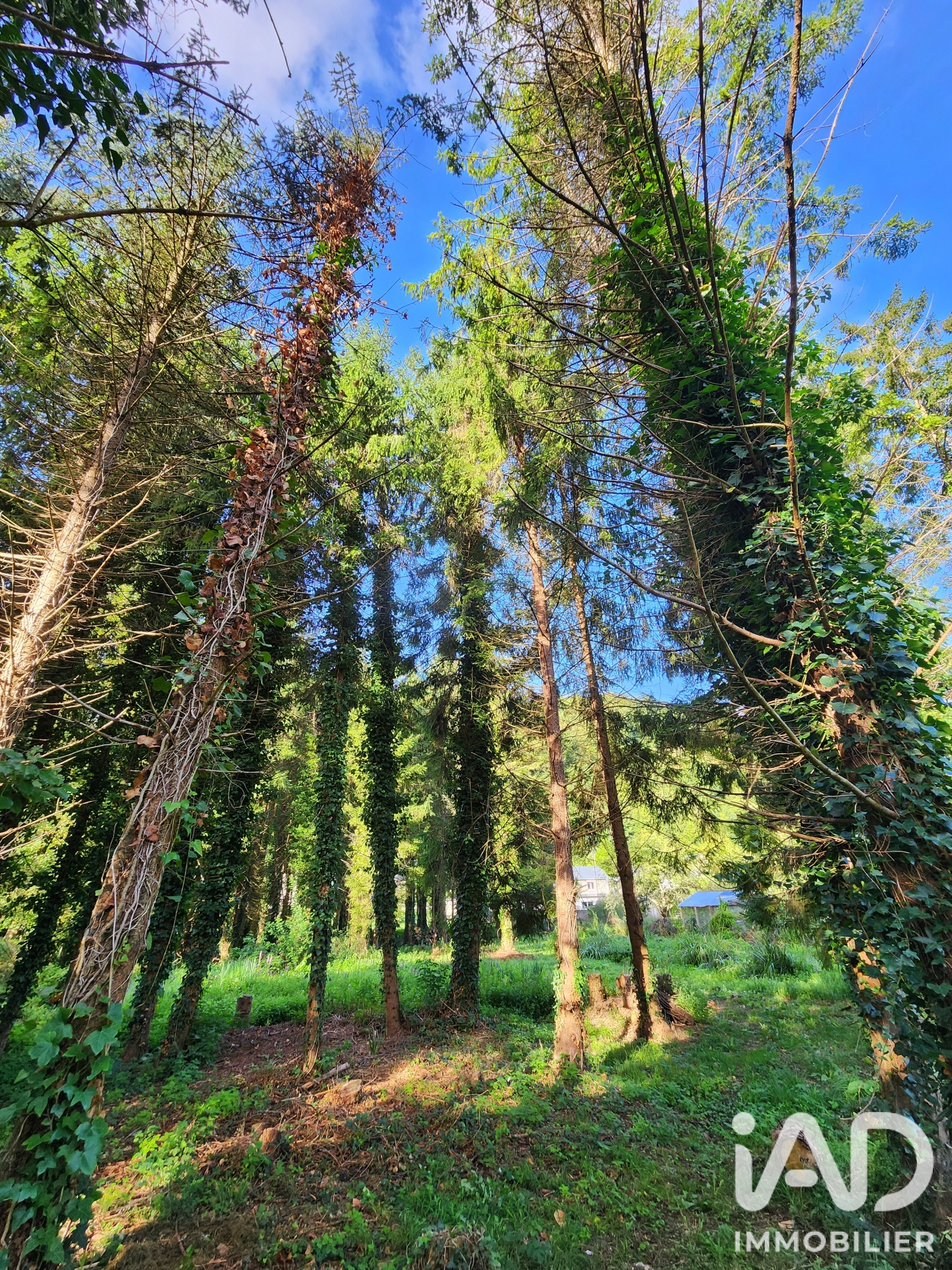 Vente maison à Tancarville (76430) : maison de campagne 6 pièces 168 m² - 2102347 — 29