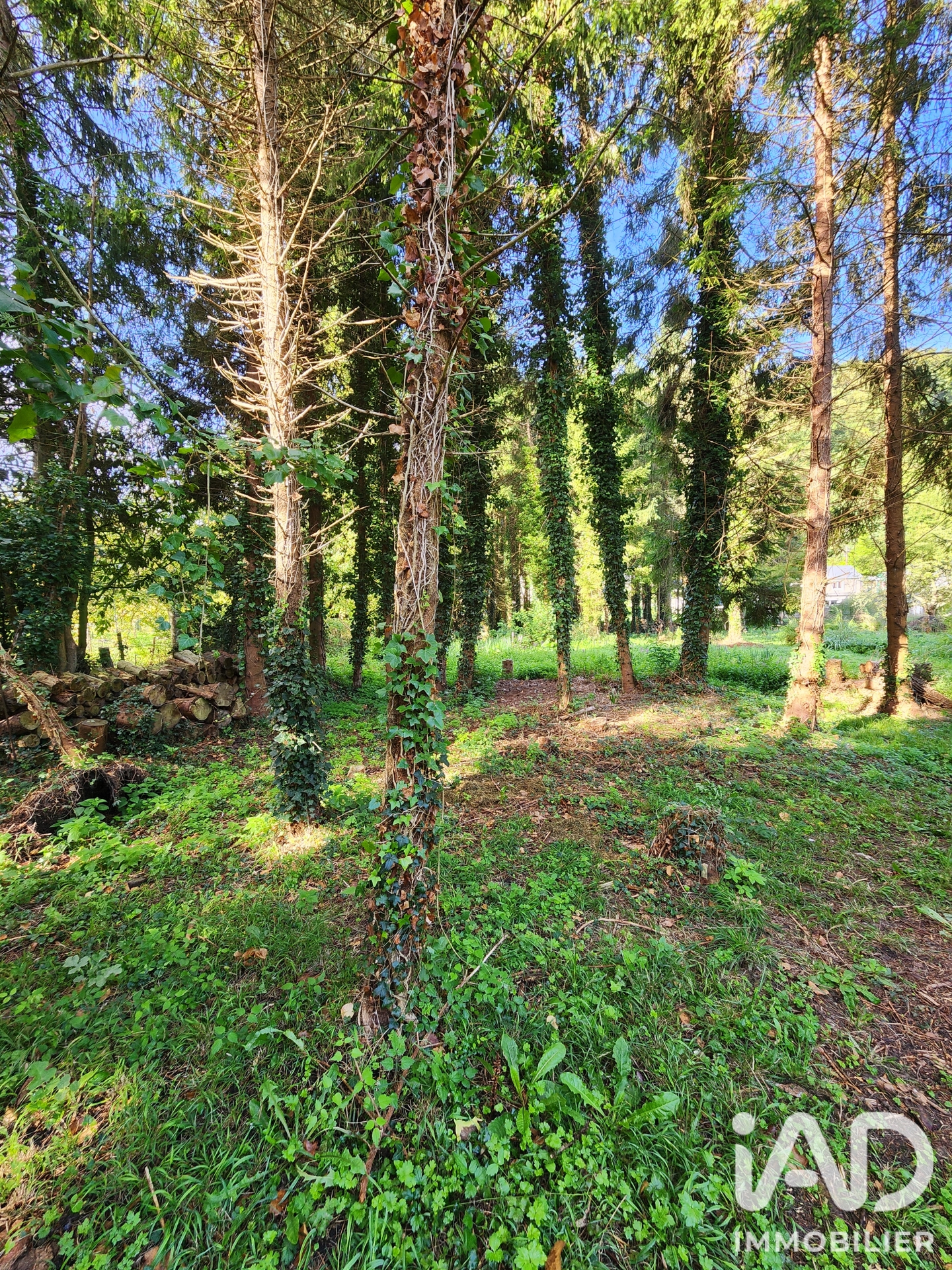 Vente maison à Tancarville (76430) : maison de campagne 6 pièces 168 m² - 2102347 — 28