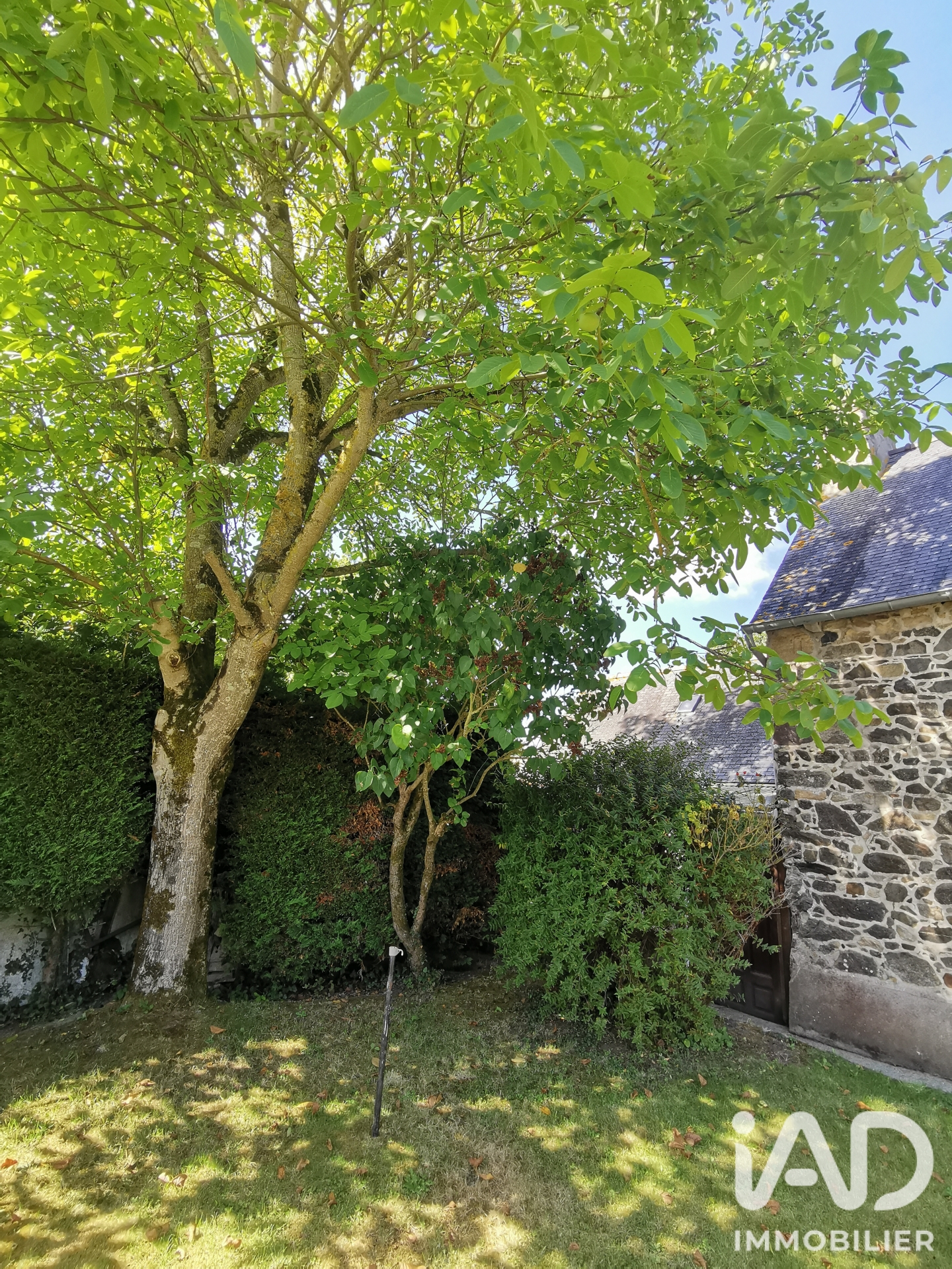 Vente maison à Squiffiec (22200) : maison de village 4 pièces 90 m² - 2104120 — 4